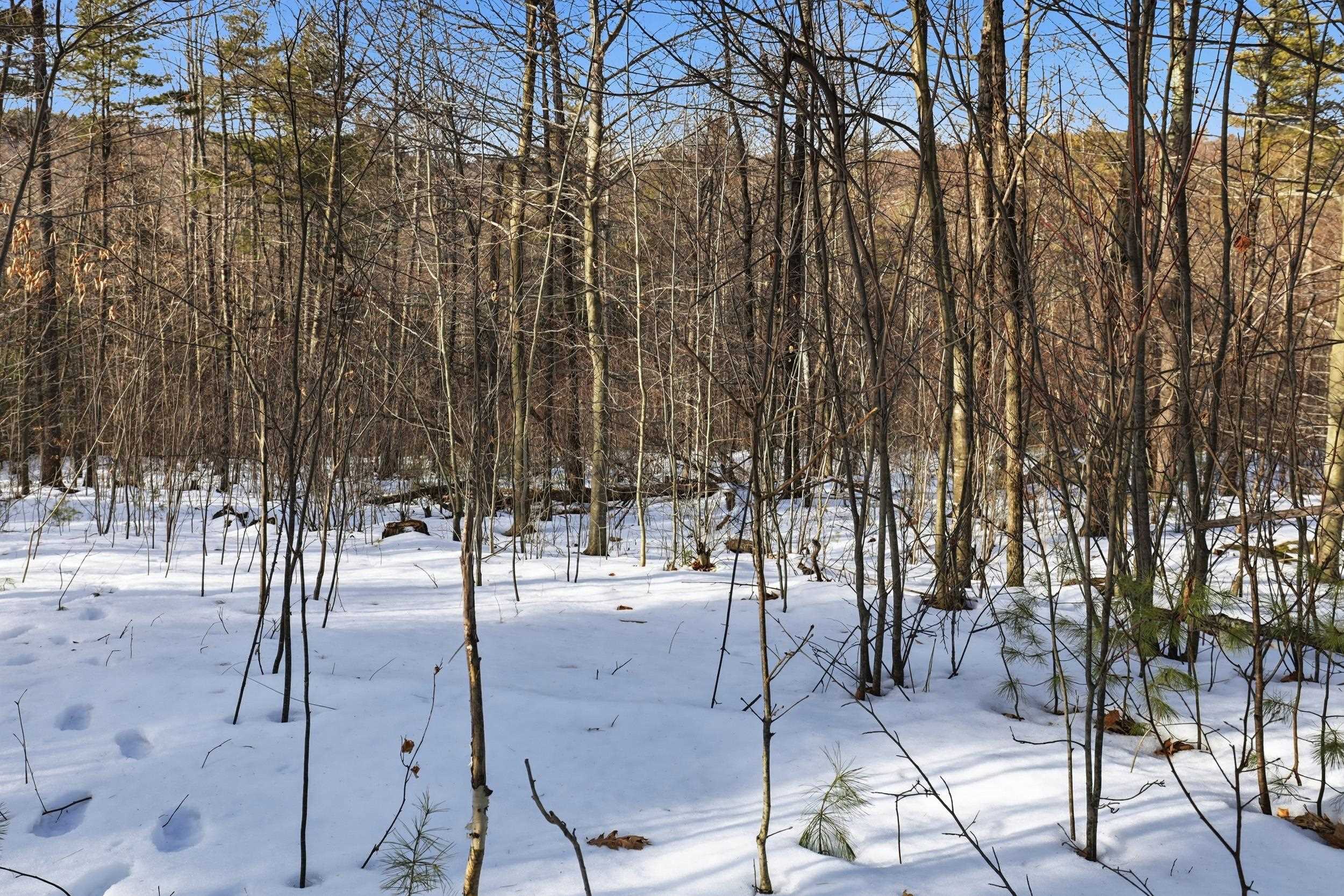 Lot allows for variety of homes with great mountain views