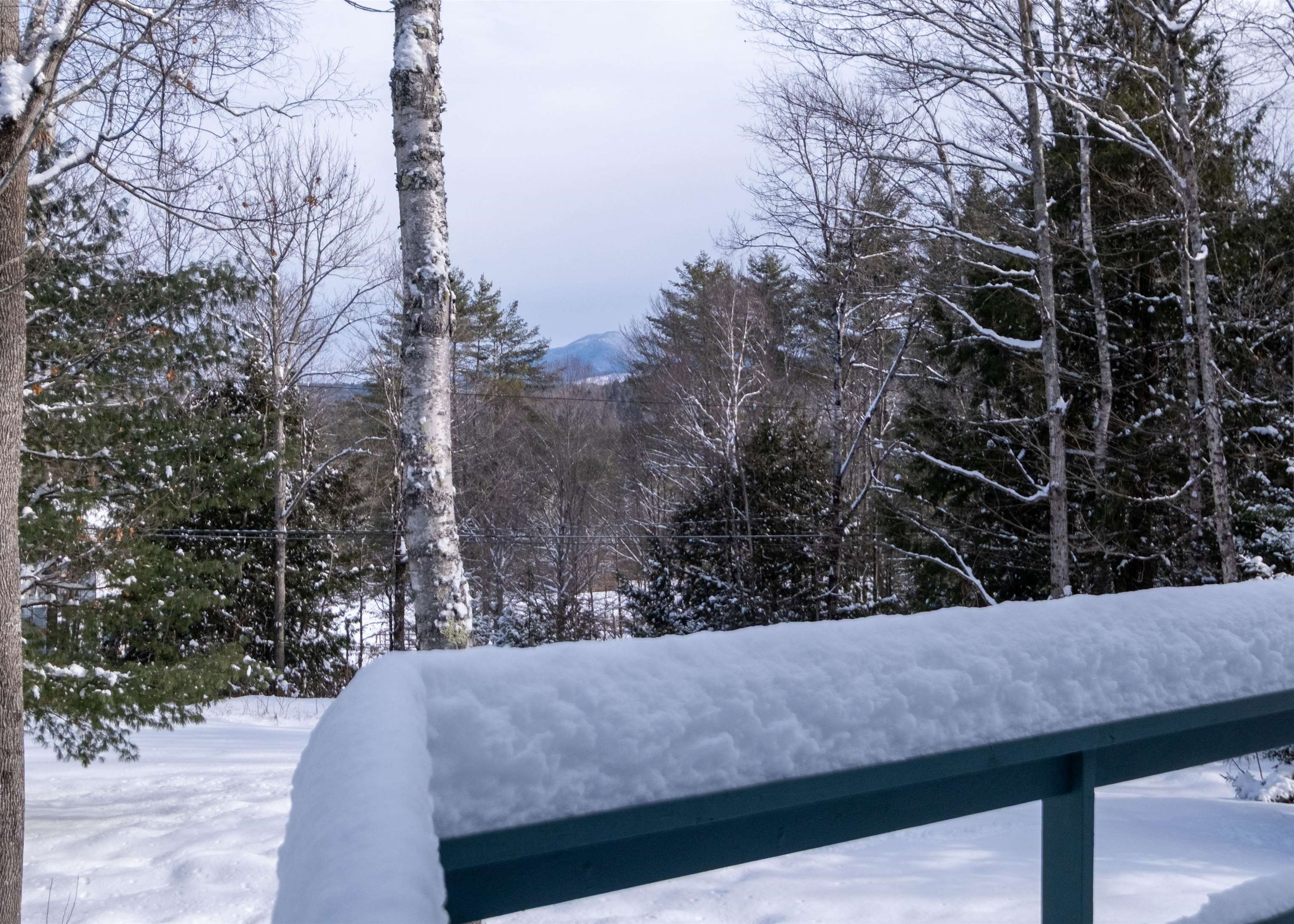 Homes for sale in Cavendish, VT | 241 Tierney Rd, Cavendish, VT 05142 | MLS# 5075335