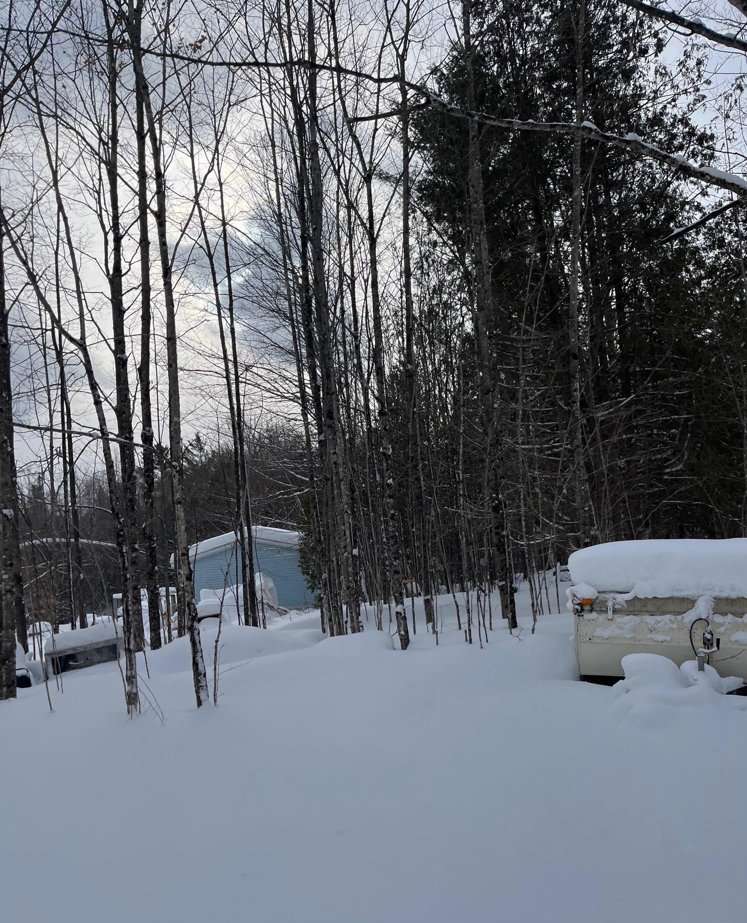 1847 Wheelock Rd, Sutton, VT 05867