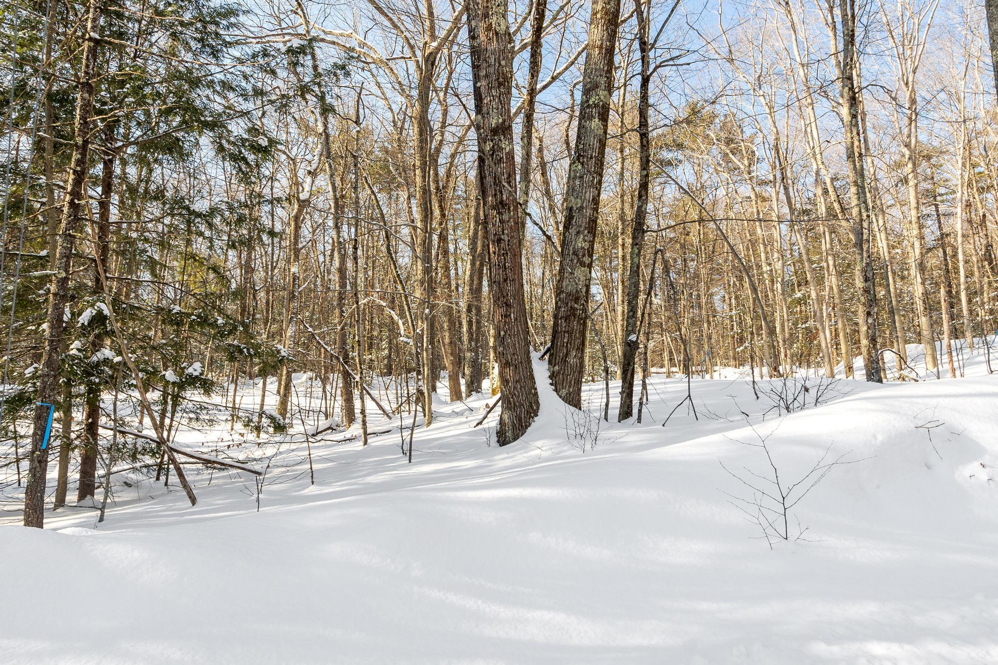 0-2 Kendall Hill Rd, Mont Vernon, NH 03057