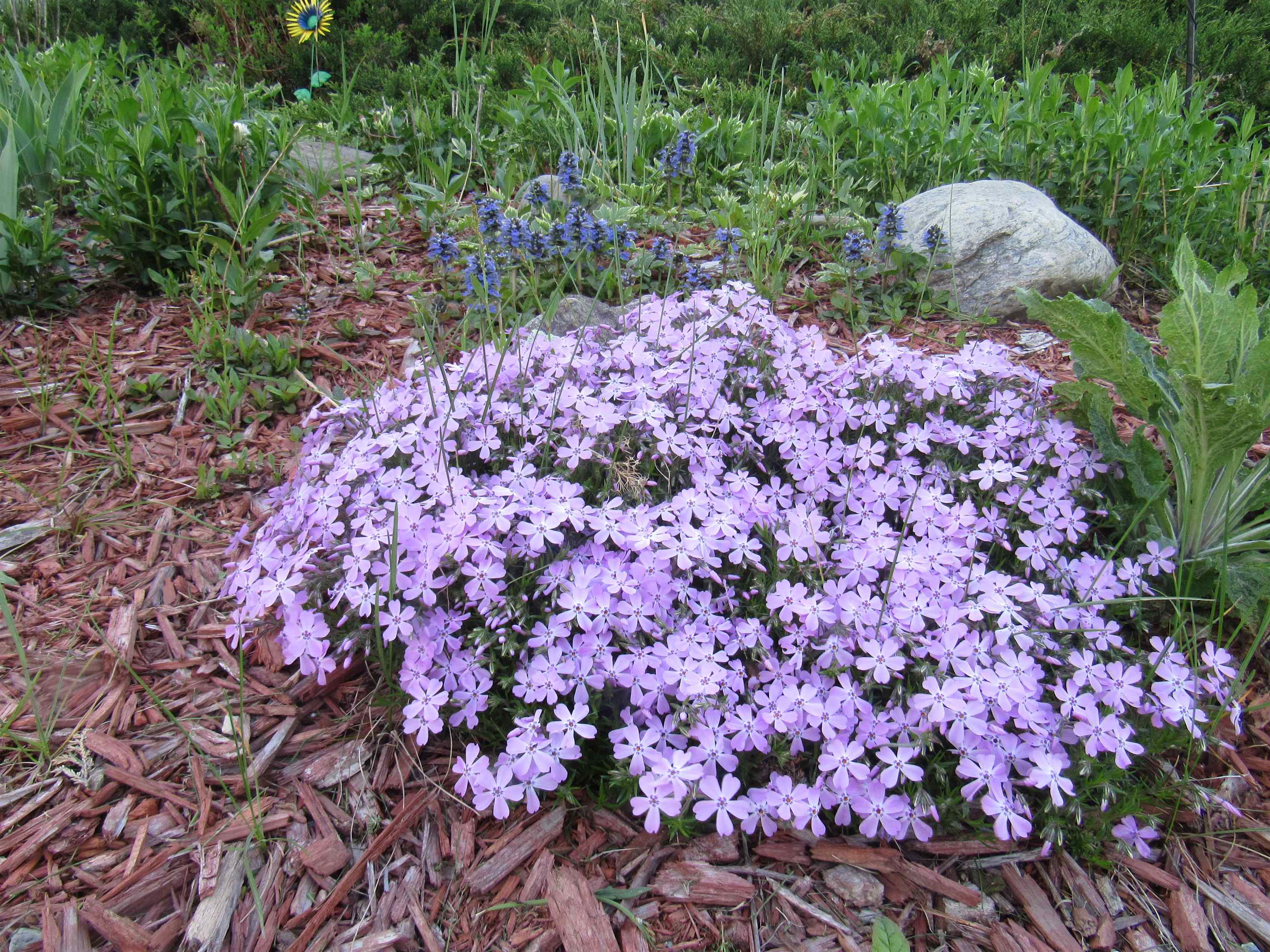 Property photo 12