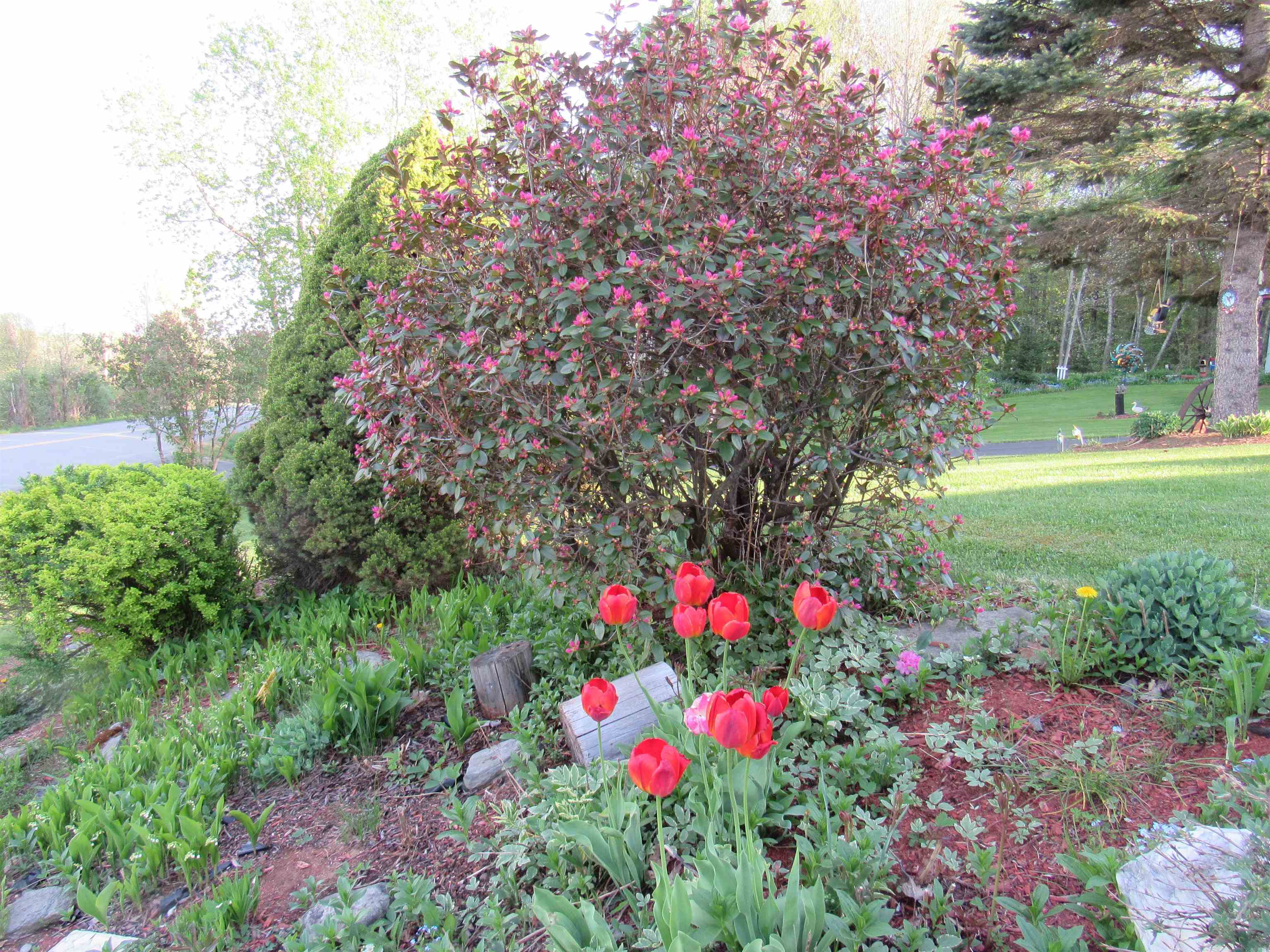 Property photo 13