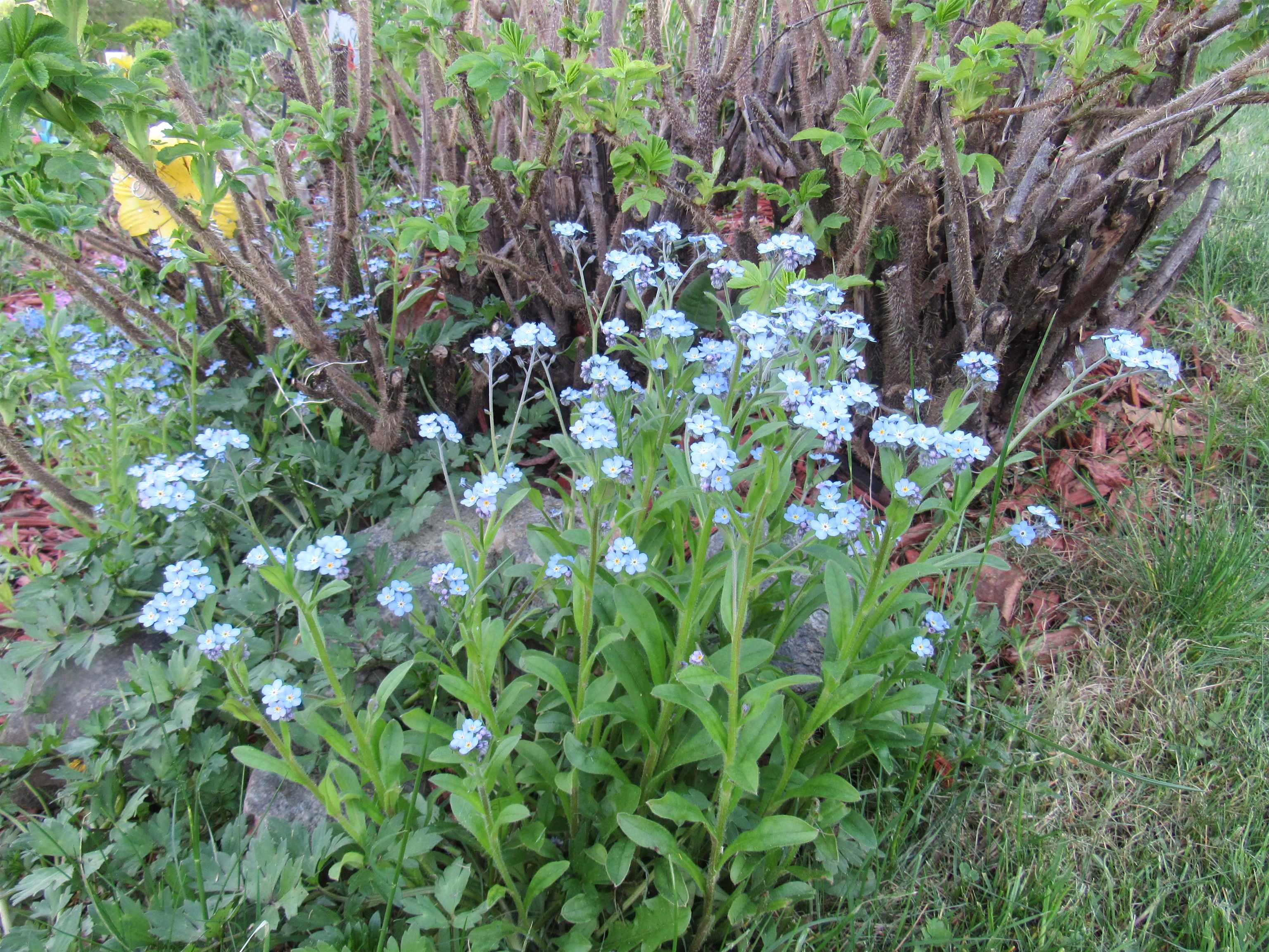 Property photo 20