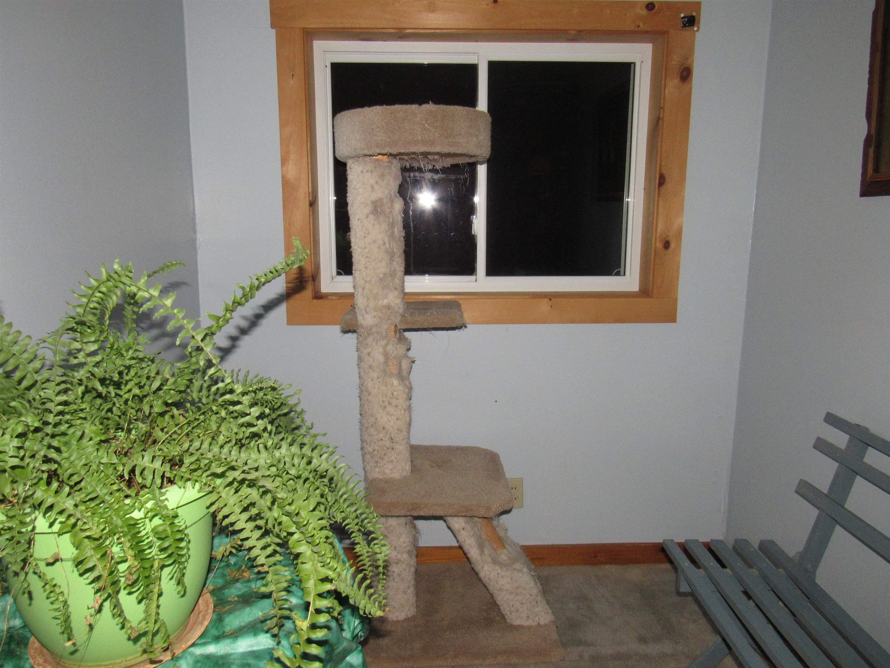Property photo 38