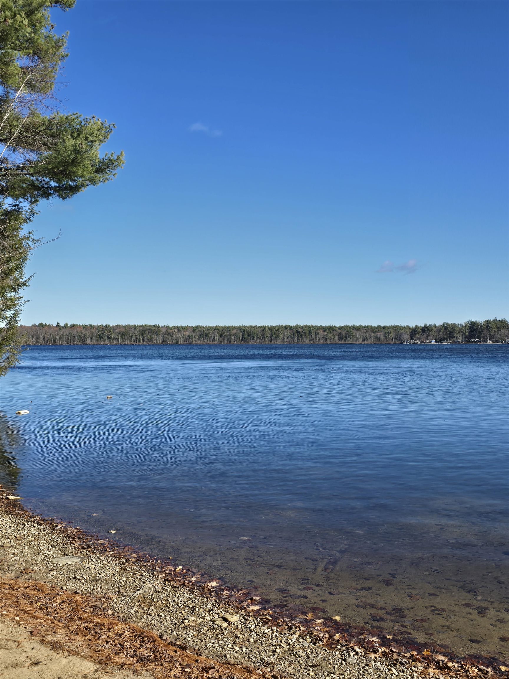 22 Viviana Dr, Farmington, NH 03835