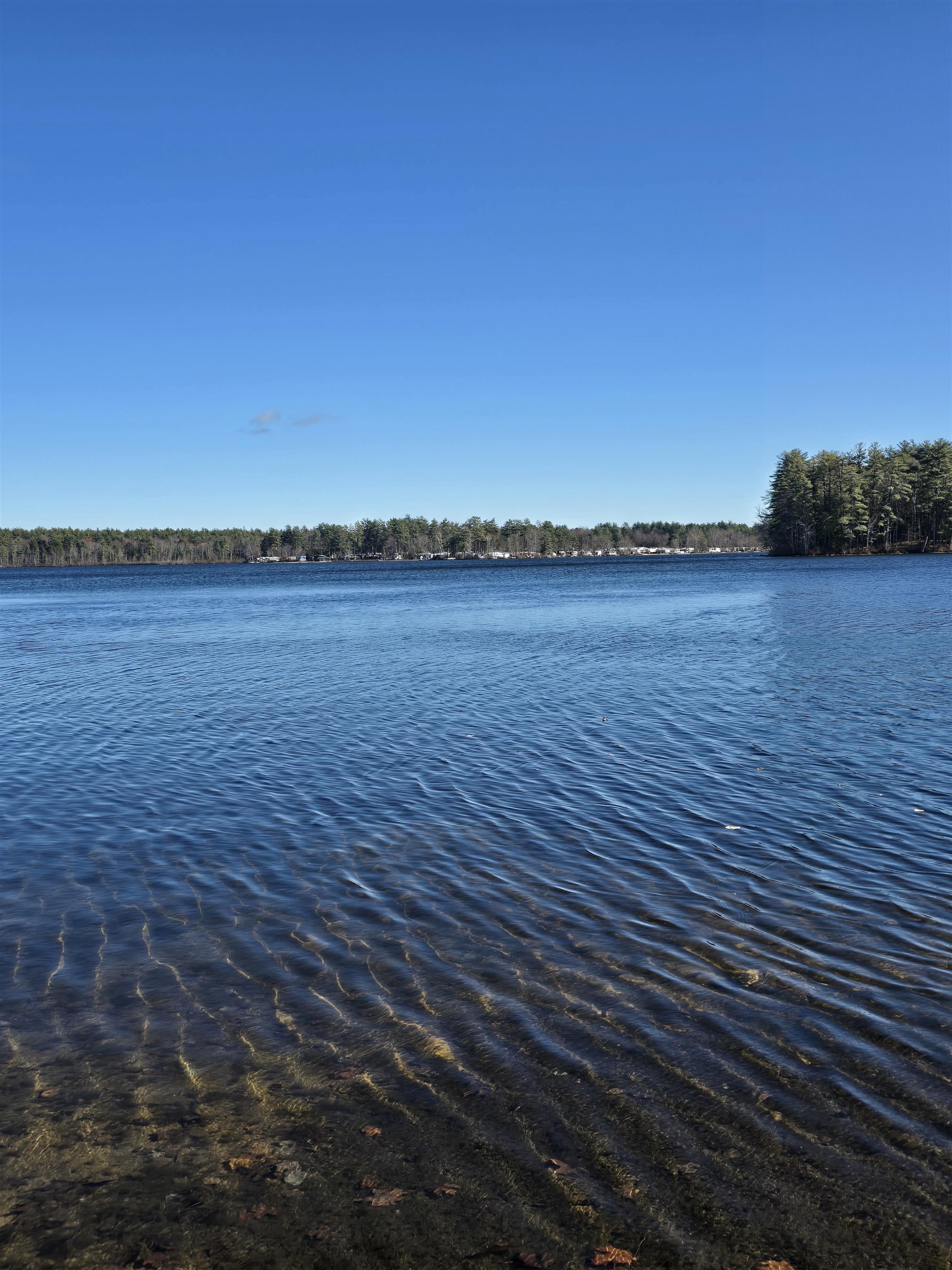 22 Viviana Dr, Farmington, NH 03835