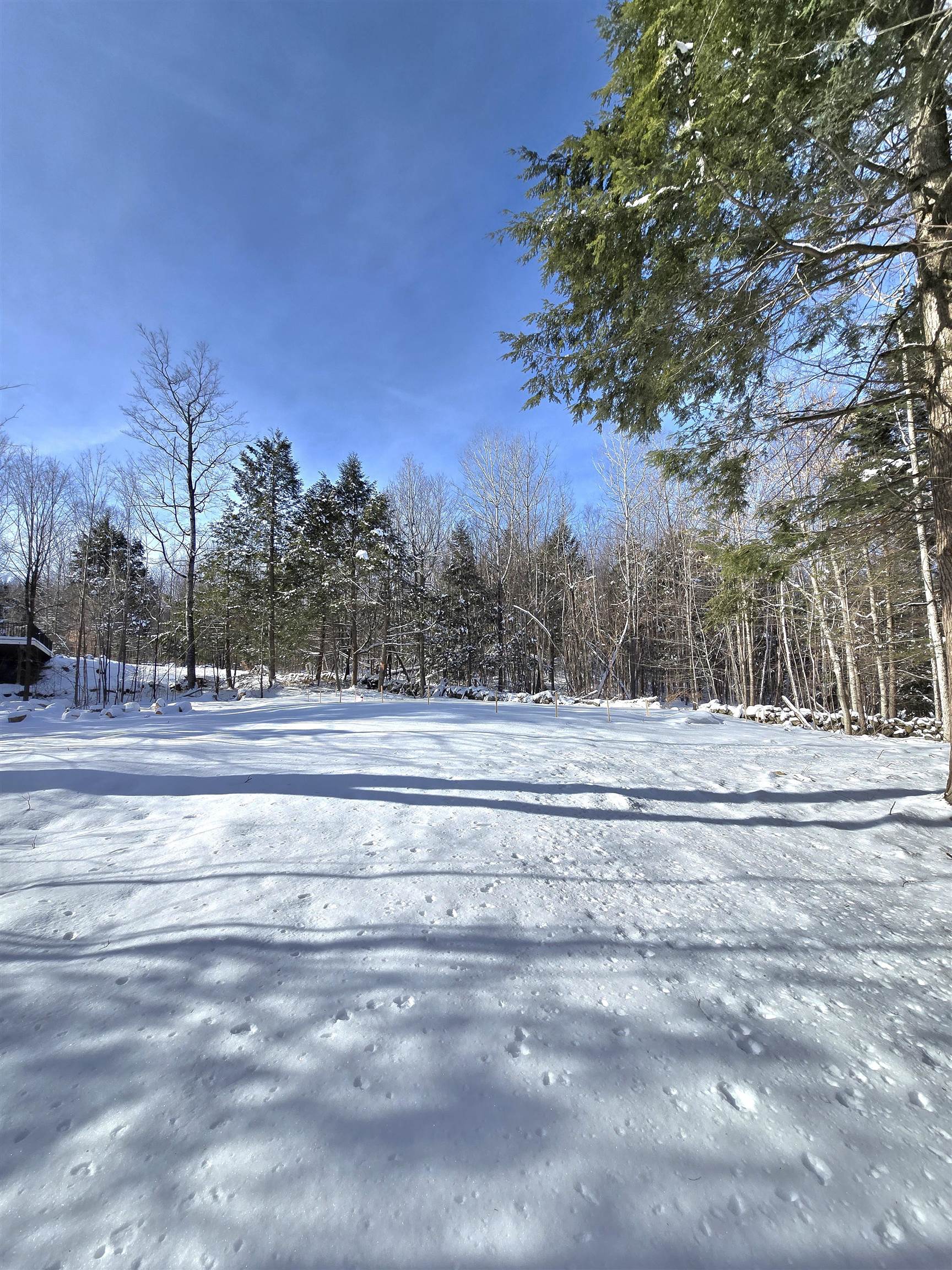 22 Viviana Dr, Farmington, NH 03835