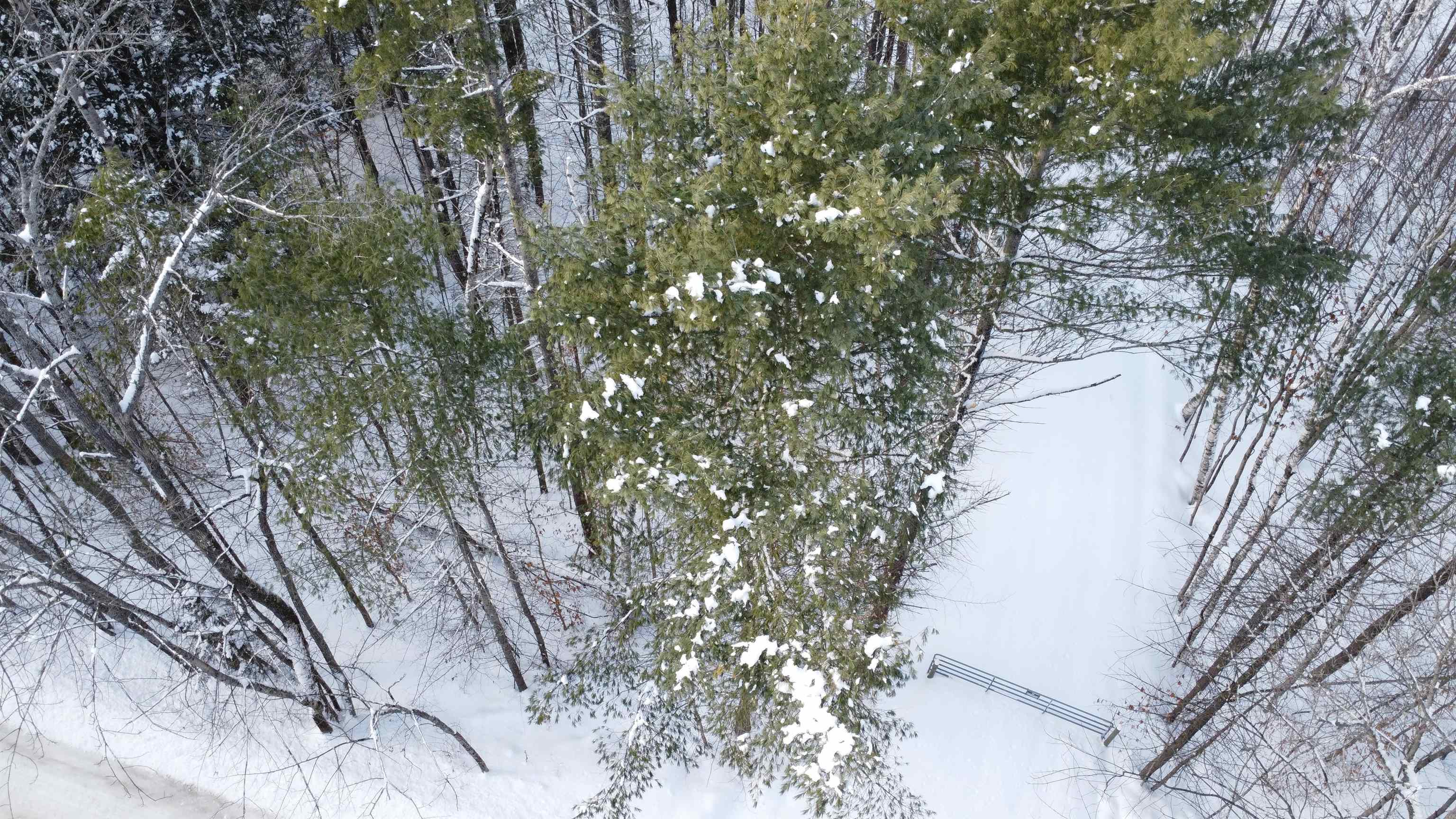 345 Leavitt Hill Rd, Cornish, NH 03745