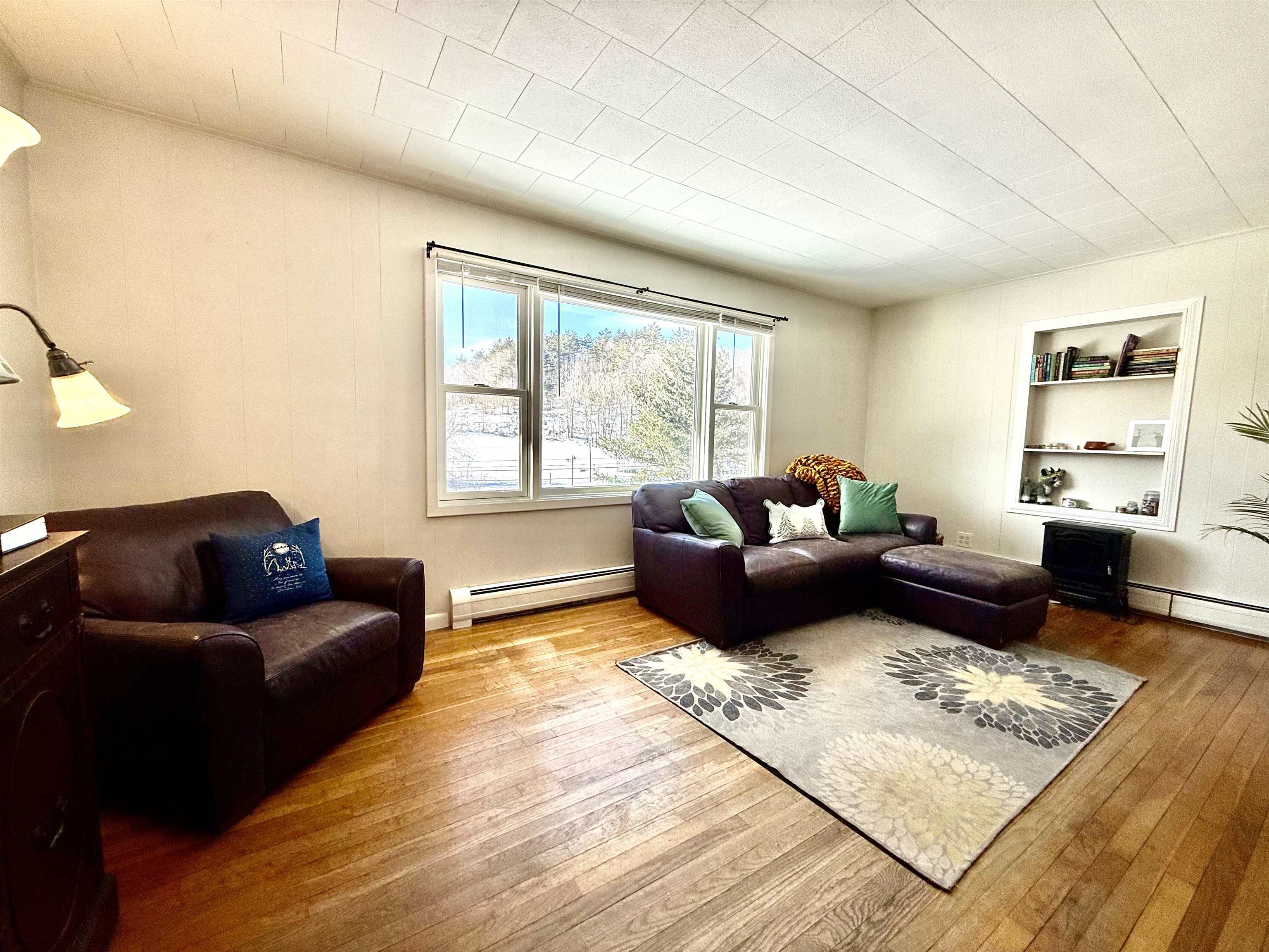 Living Room 24665067