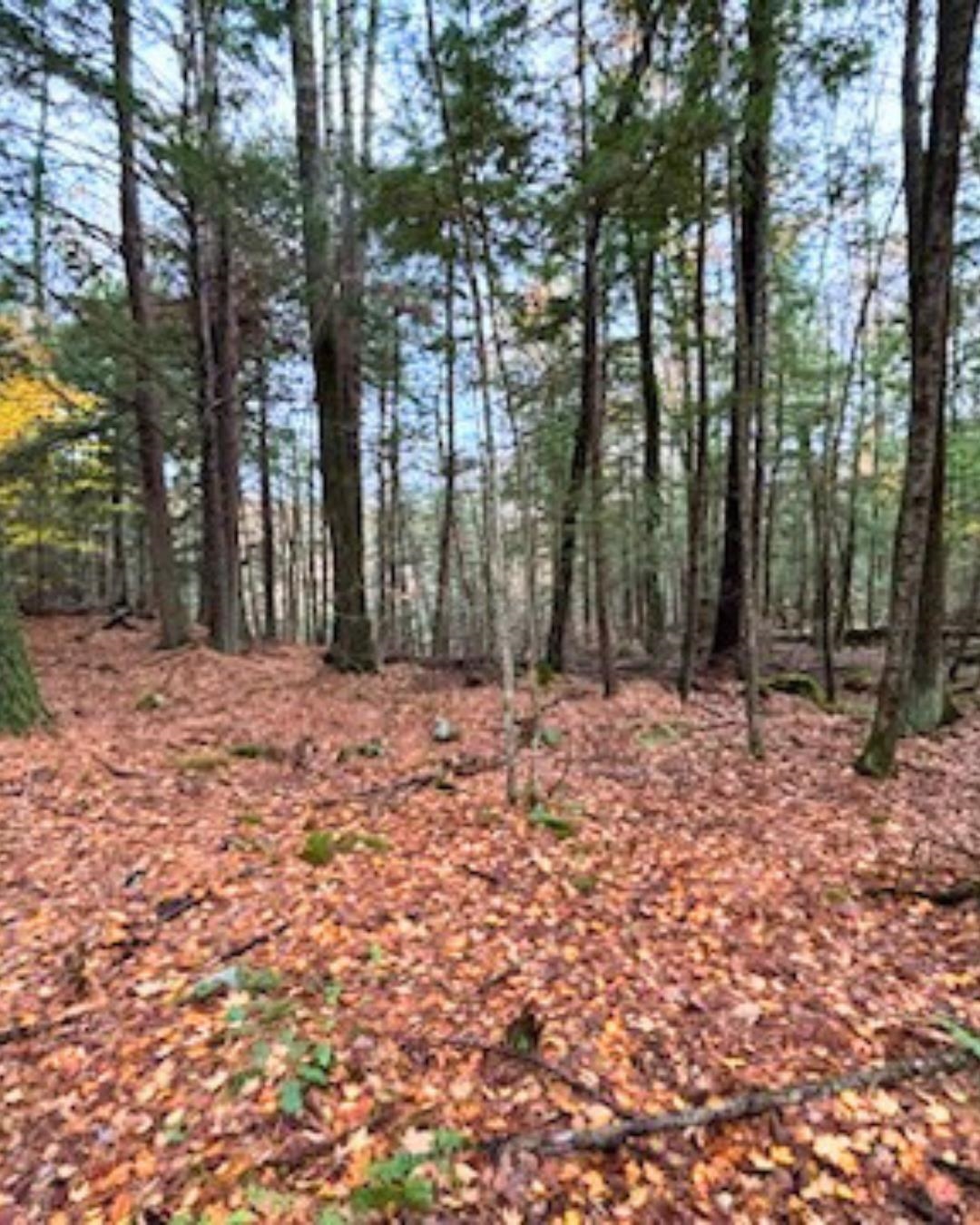 00 Concord Rd, Keene, NH 03431