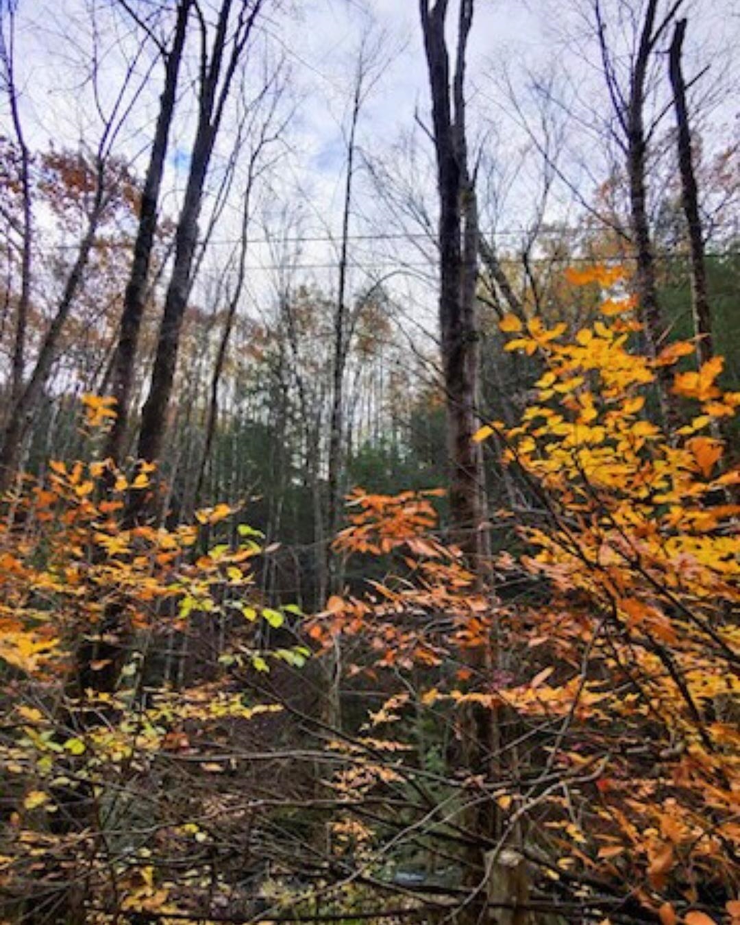 00 Concord Rd, Keene, NH 03431