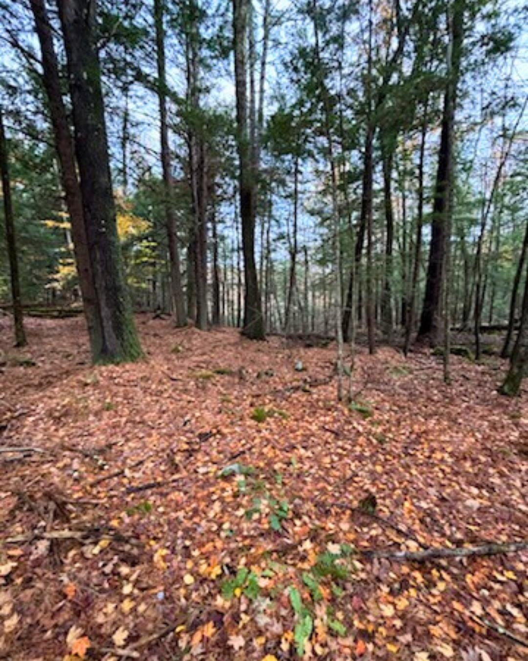 00 Concord Rd, Keene, NH 03431