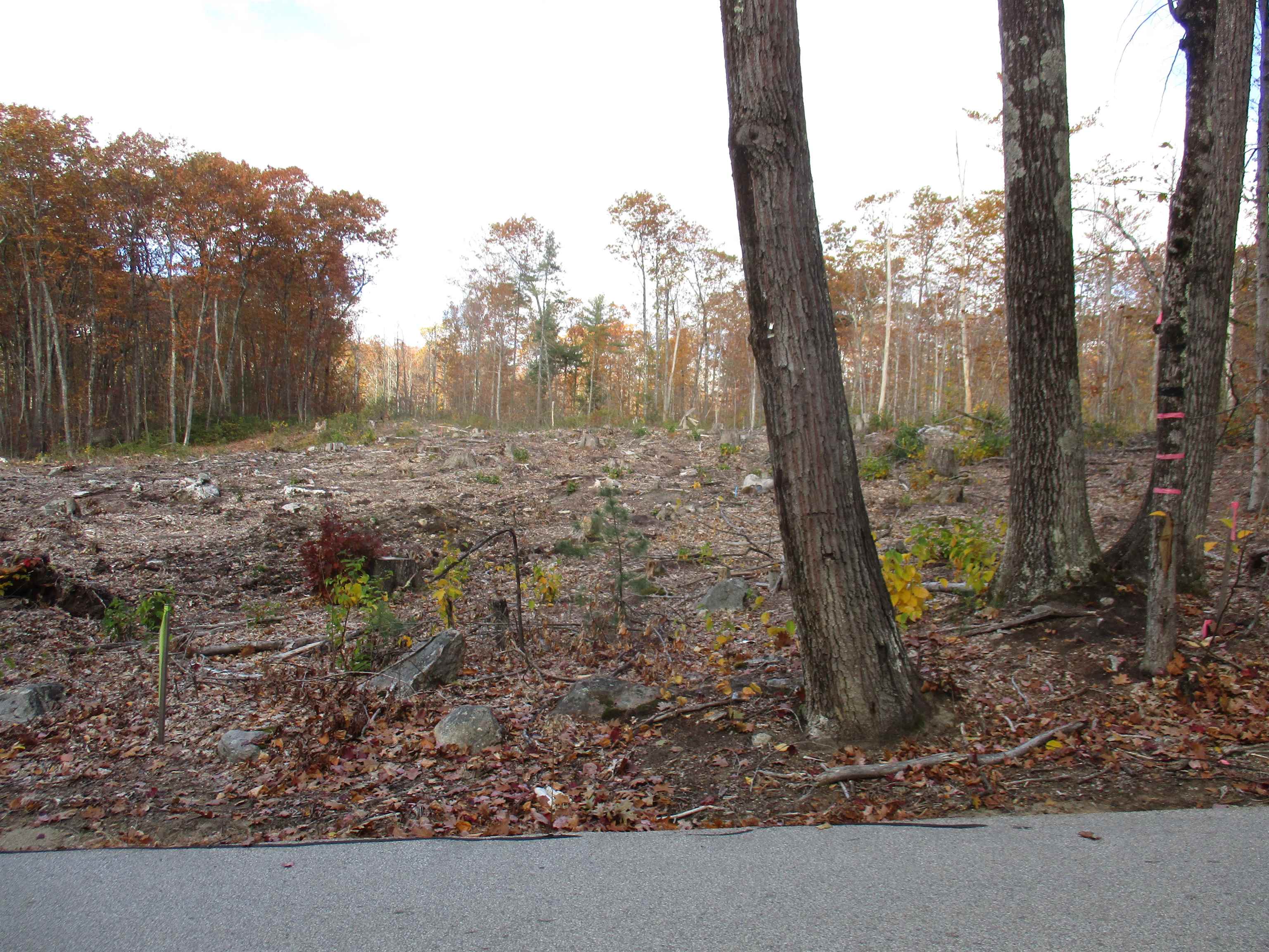 1-65-C Barrett Rd, Greenville, NH 03048