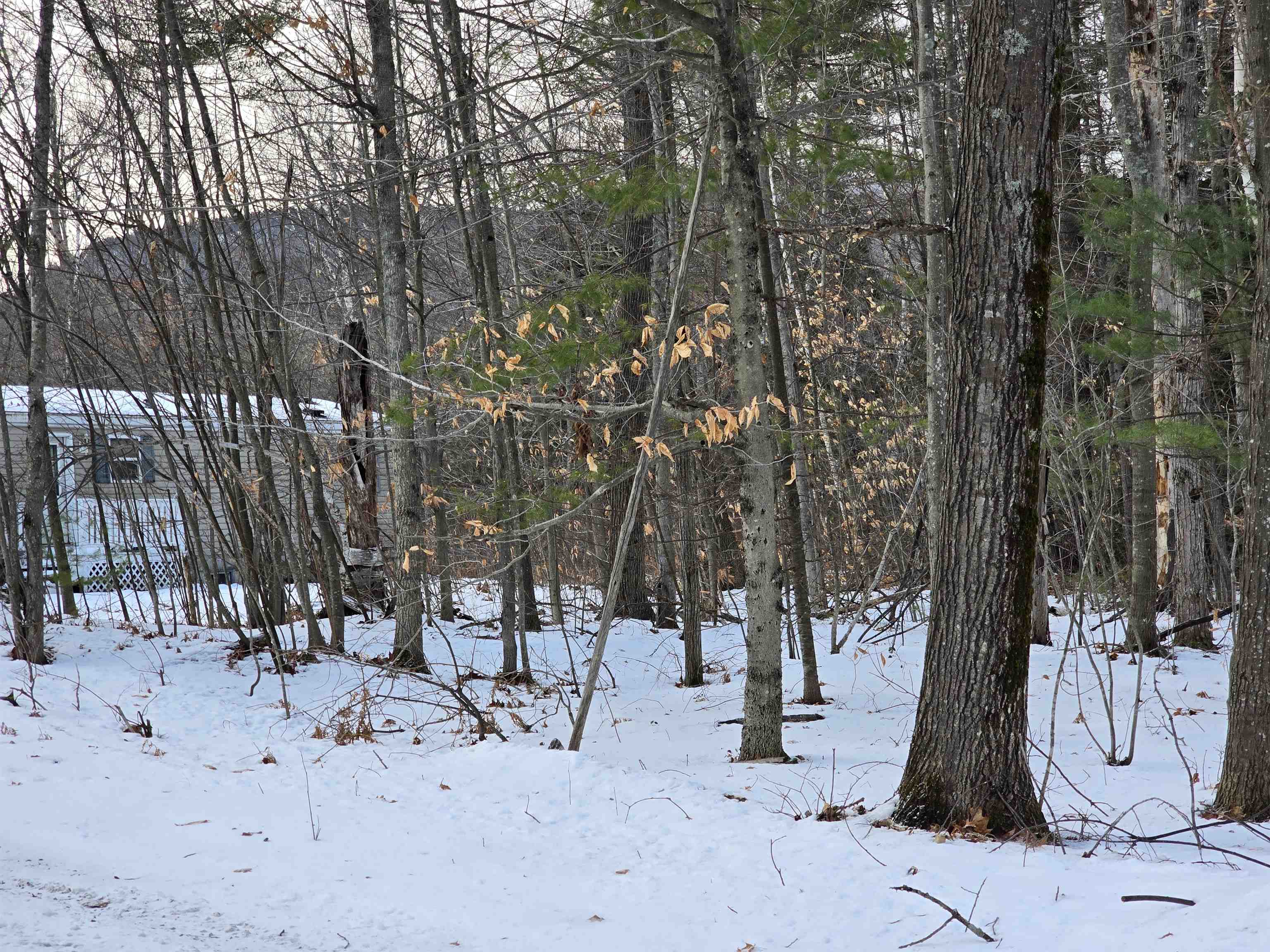 23 North Rd, Shelburne, NH 03581