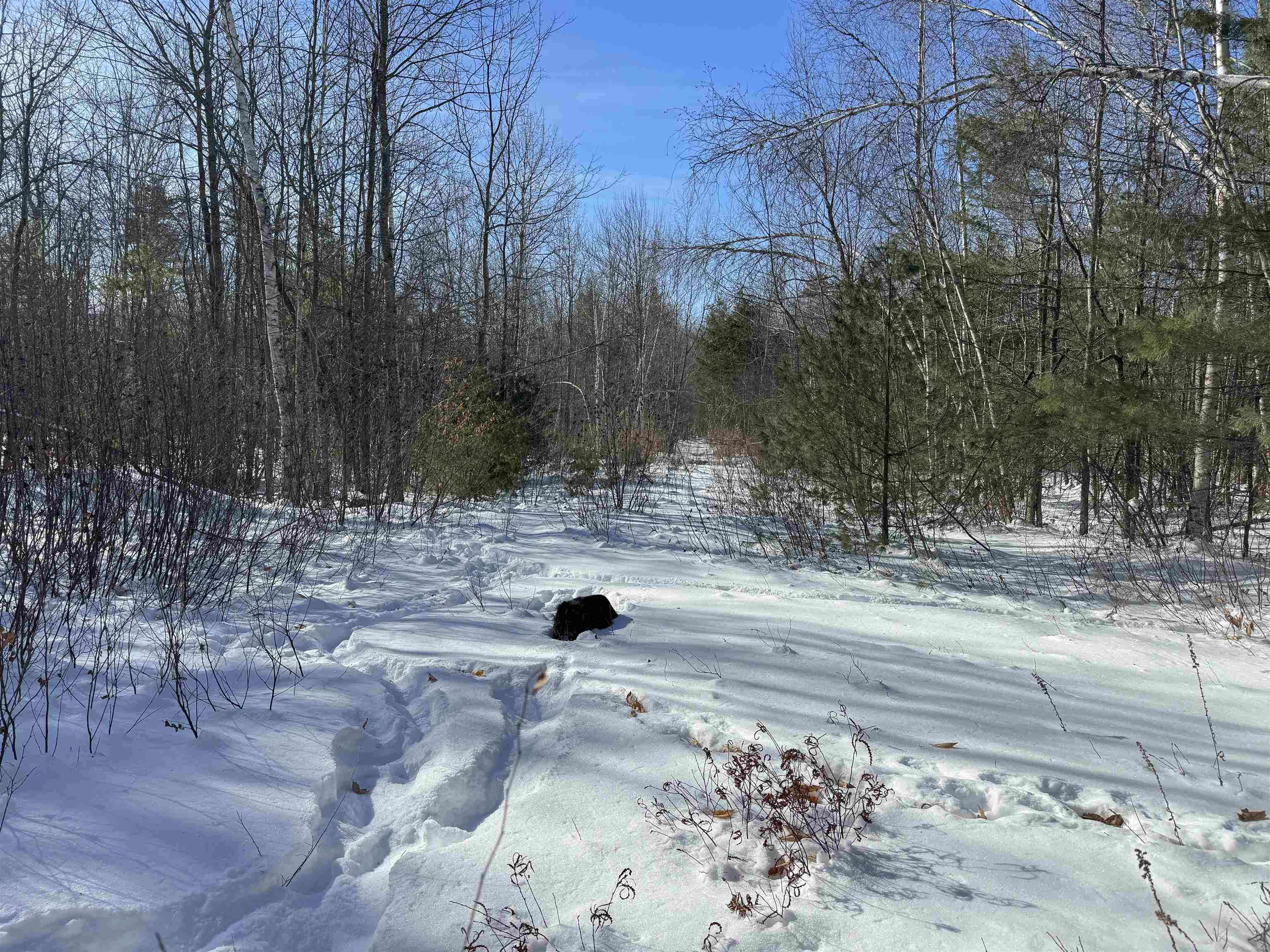 White Mountain Hw, Wakefield, NH 03872