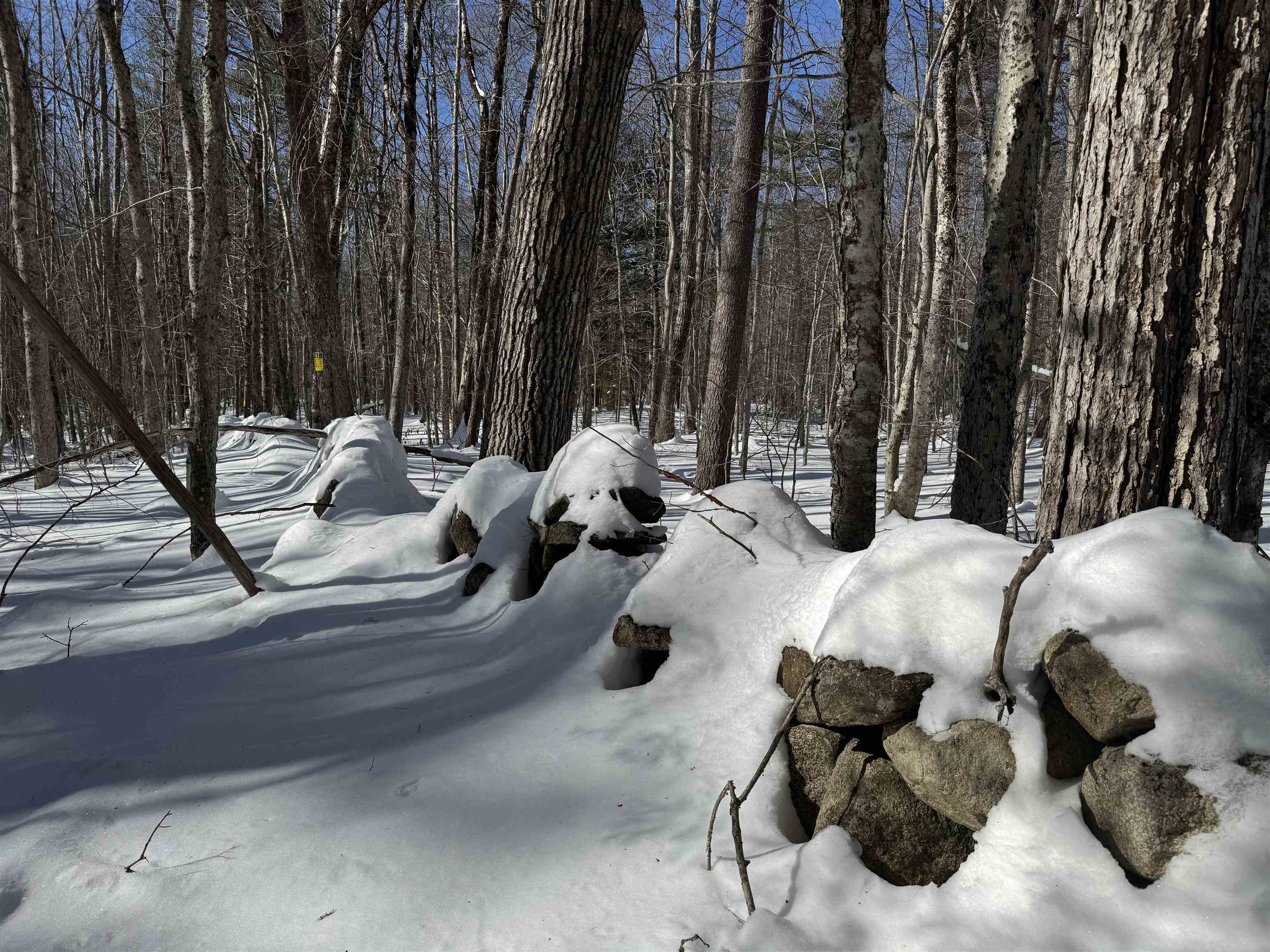 White Mountain Hw, Wakefield, NH 03872