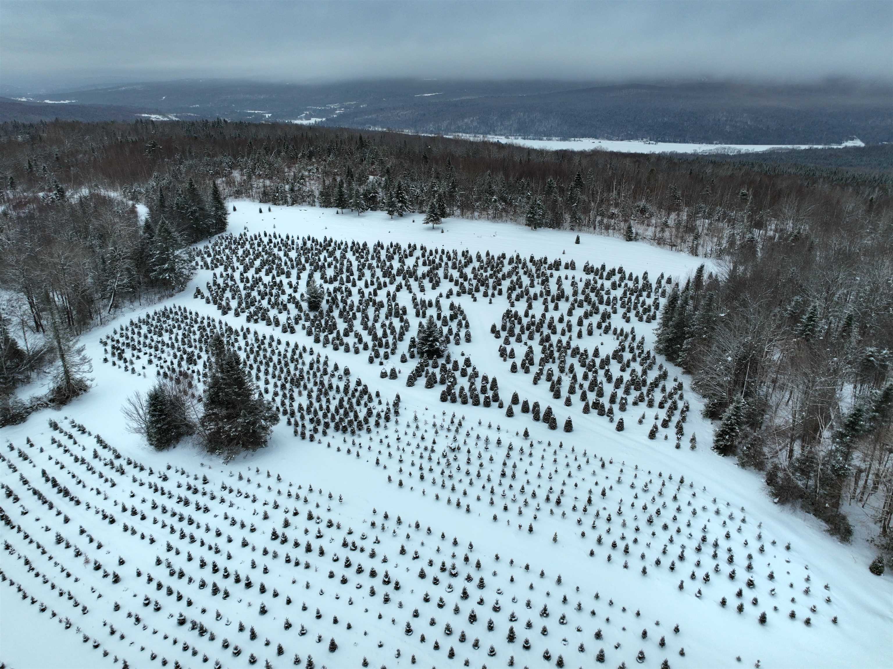 00 Jordan Hill Rd, Columbia, NH 03590