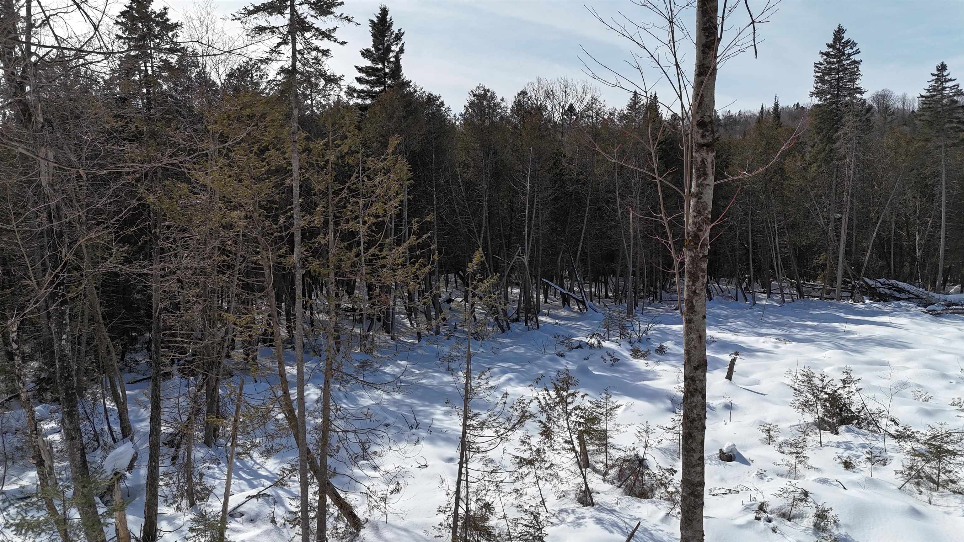 00 Vermont Route 5a, Sutton, VT 05867