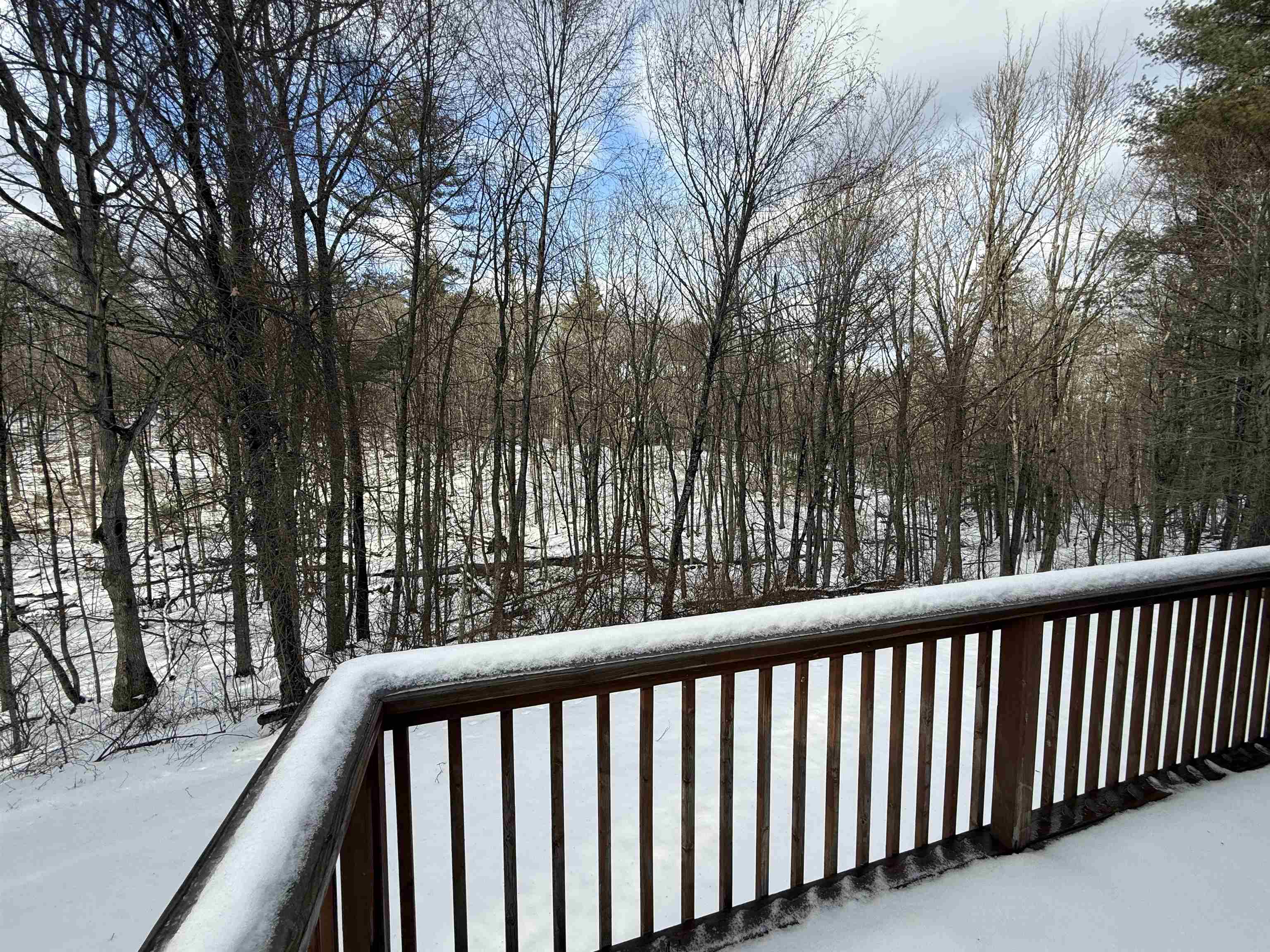 256 Middle Branch Rd, New Boston, NH 03070