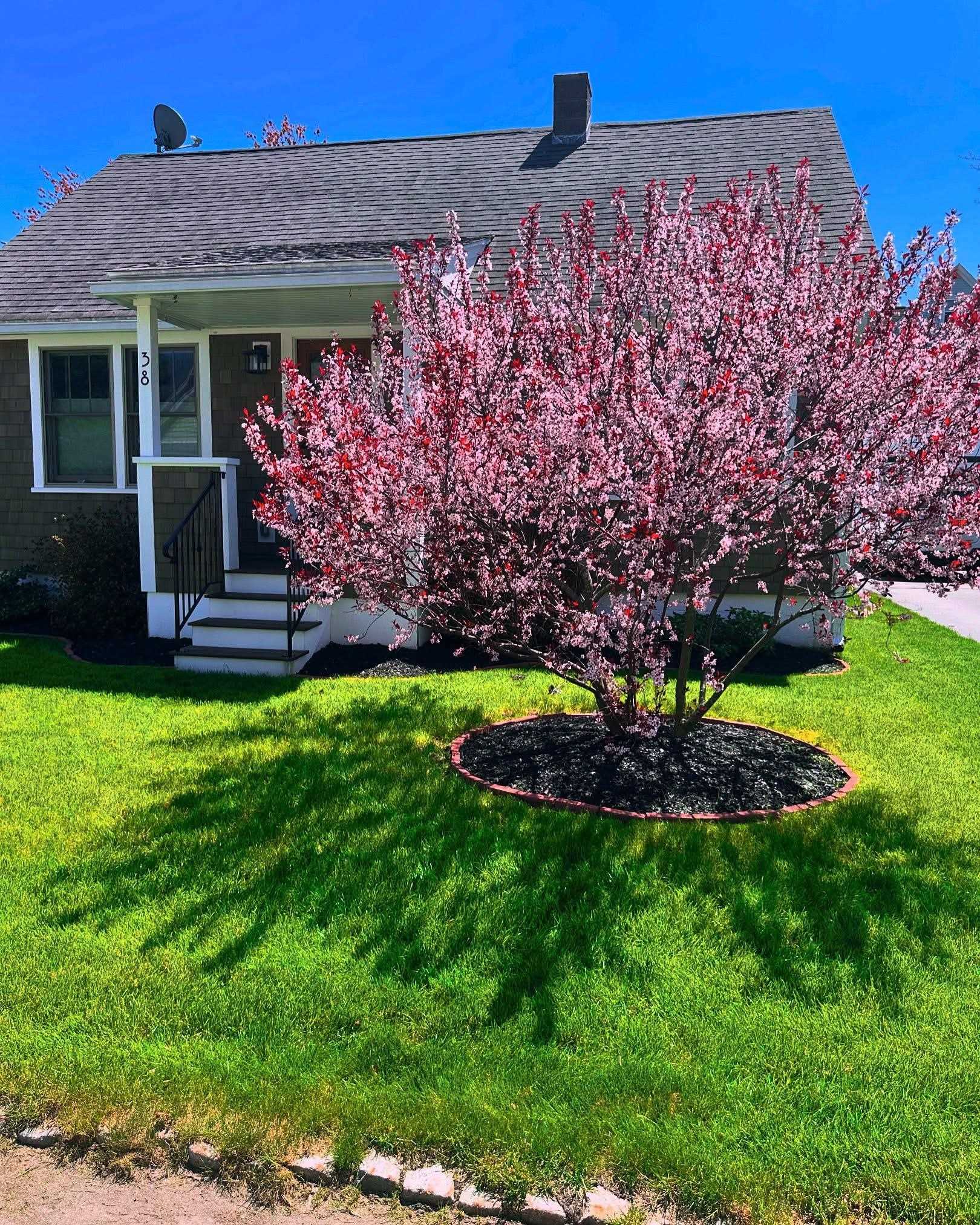 38 Armand Ave, Manchester, NH 03103