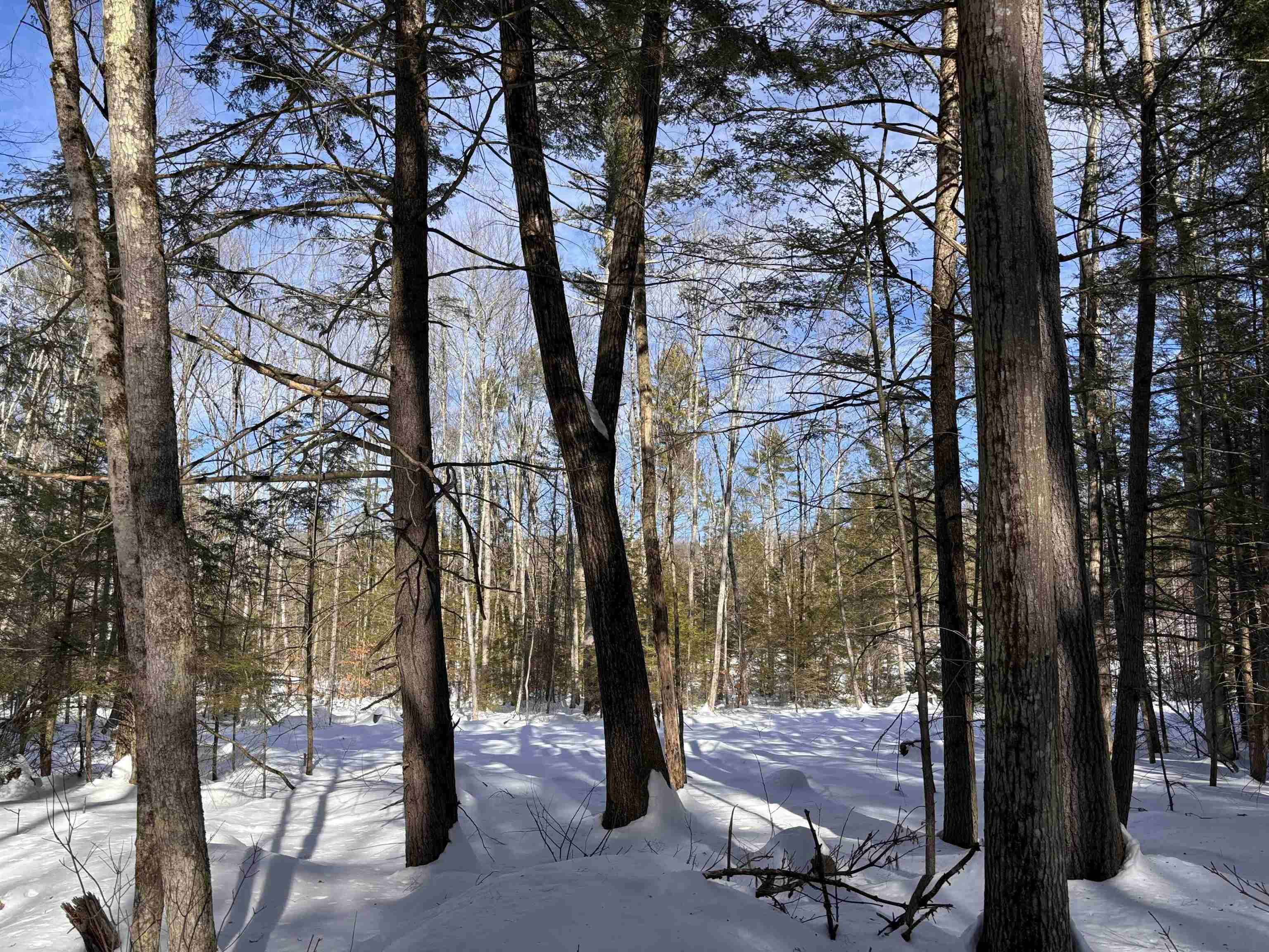 M409 L66-1 Old Turnpike Rd, Richmond, NH 03470