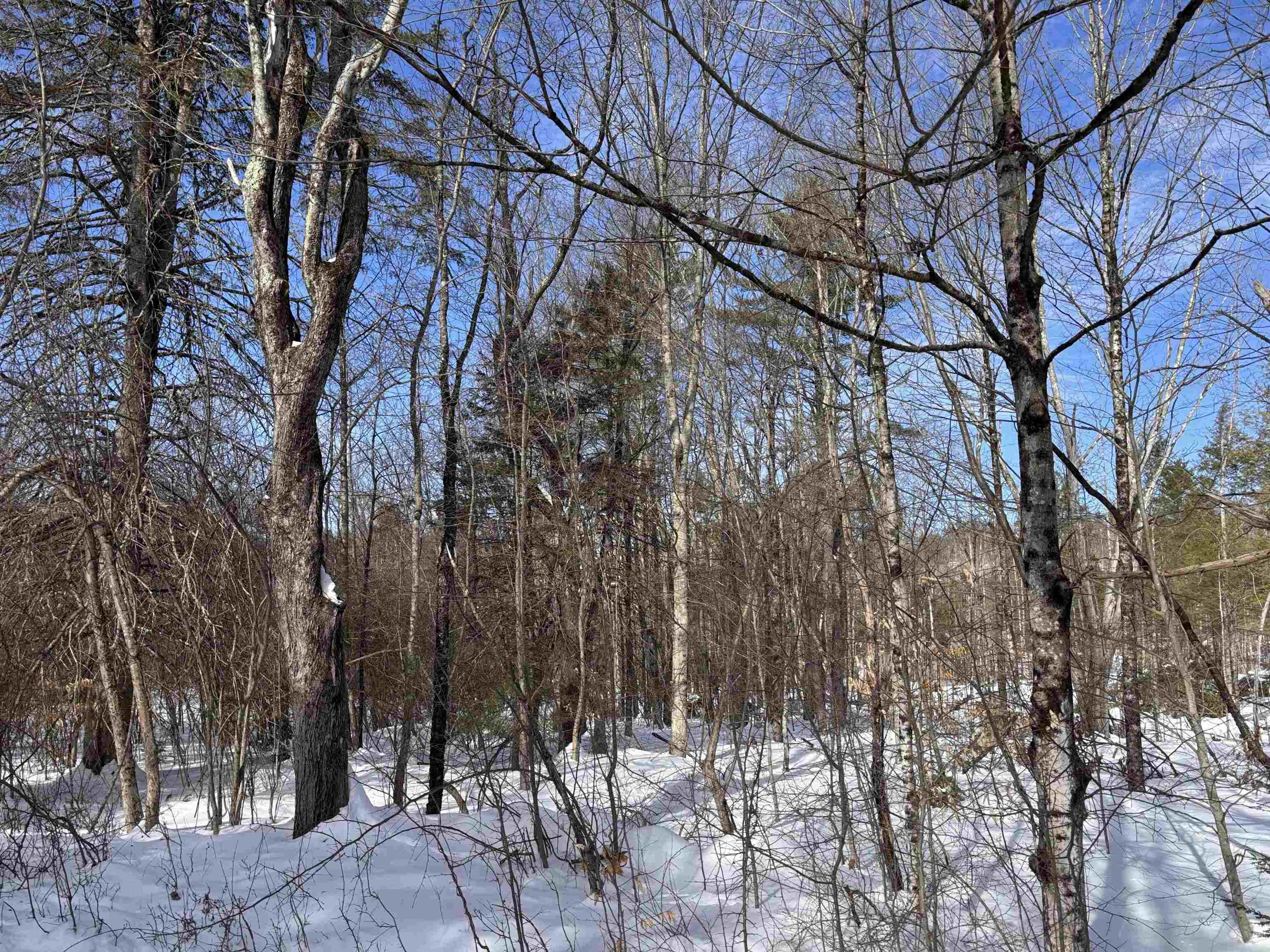 M409 L66-1 Old Turnpike Rd, Richmond, NH 03470