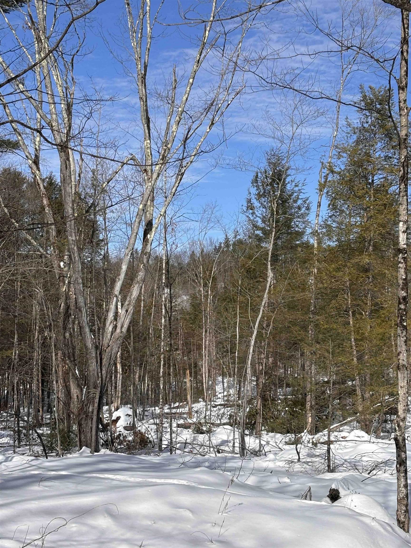 M409 L66-1 Old Turnpike Rd, Richmond, NH 03470