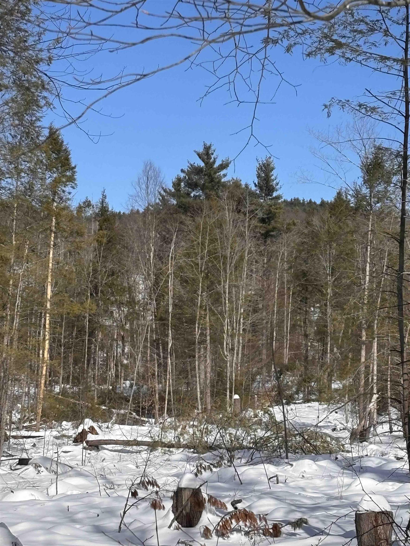 M409 L66-1 Old Turnpike Rd, Richmond, NH 03470