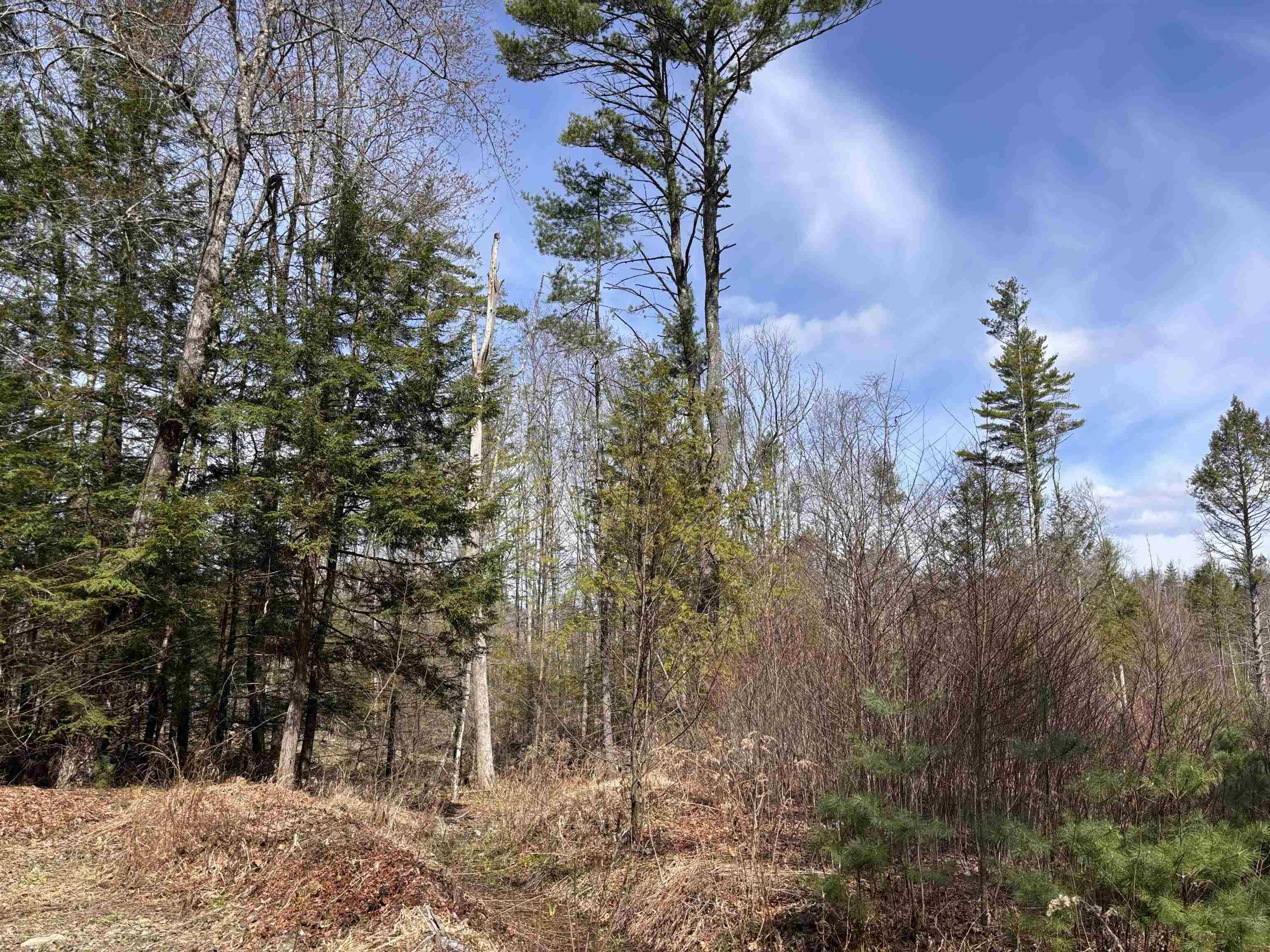 M409 L66-2 Old Turnpike Rd, Richmond, NH 03470
