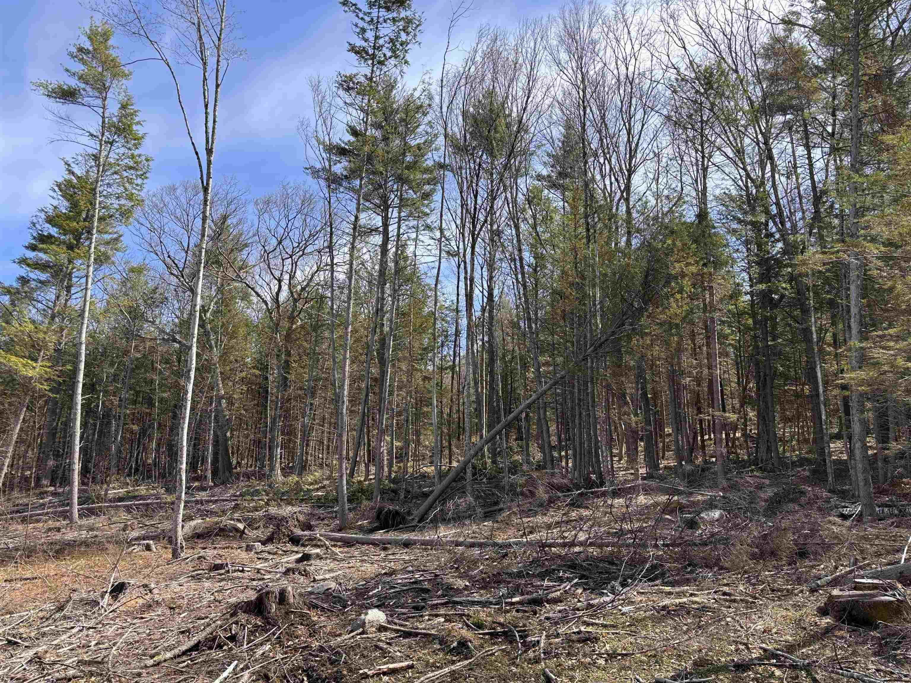 M409 L66-2 Old Turnpike Rd, Richmond, NH 03470
