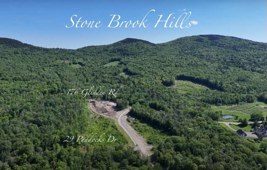 29 Paddocks Dr, Gilford, NH 03249