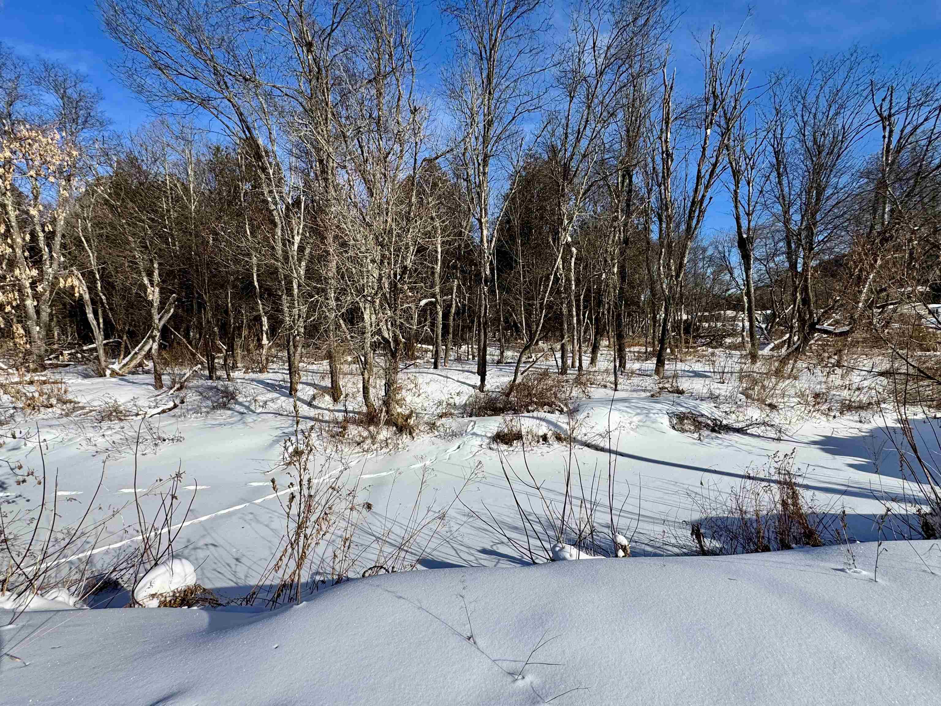 9 Birch St, Colebrook, NH 03576