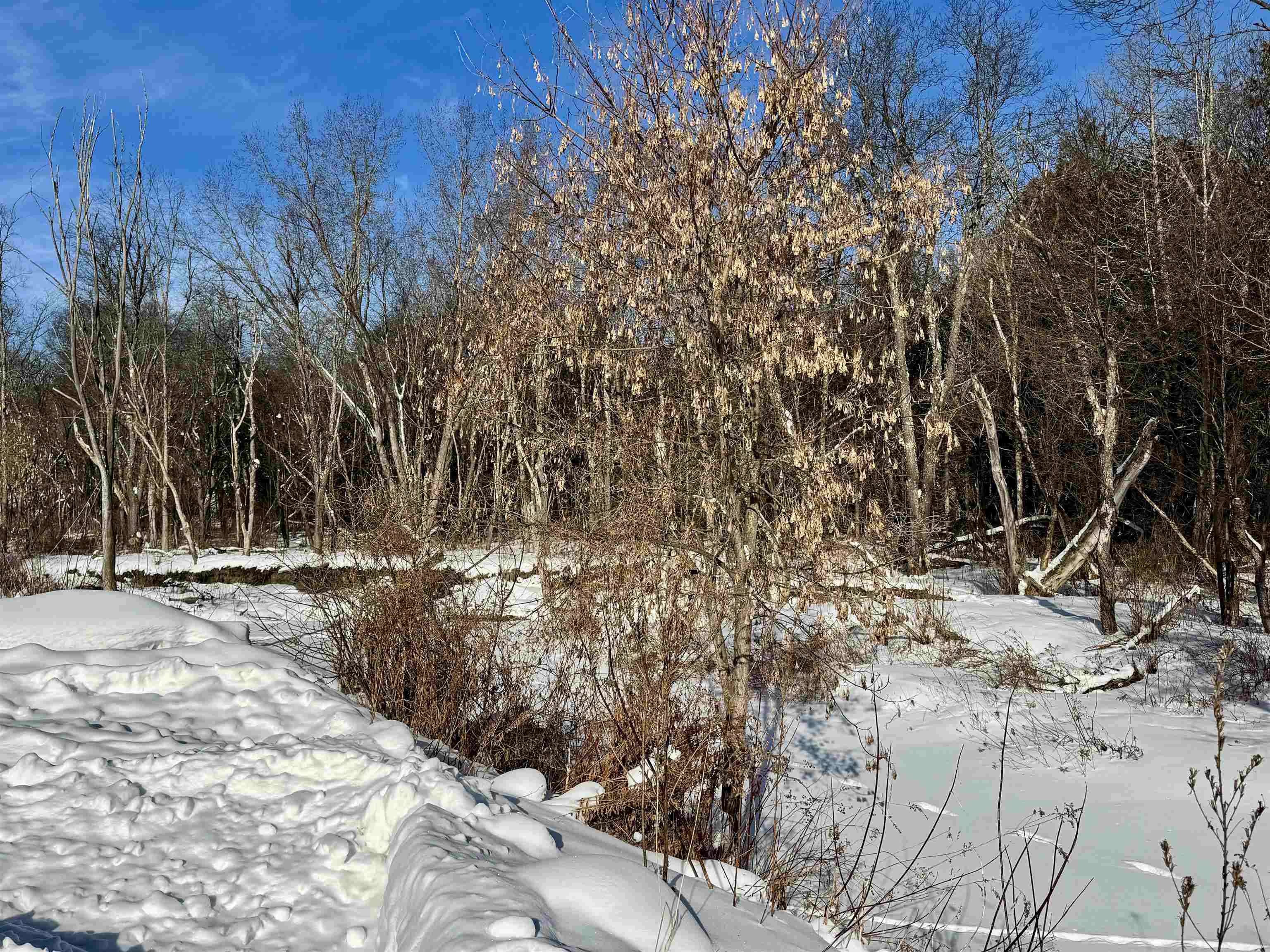 9 Birch St, Colebrook, NH 03576