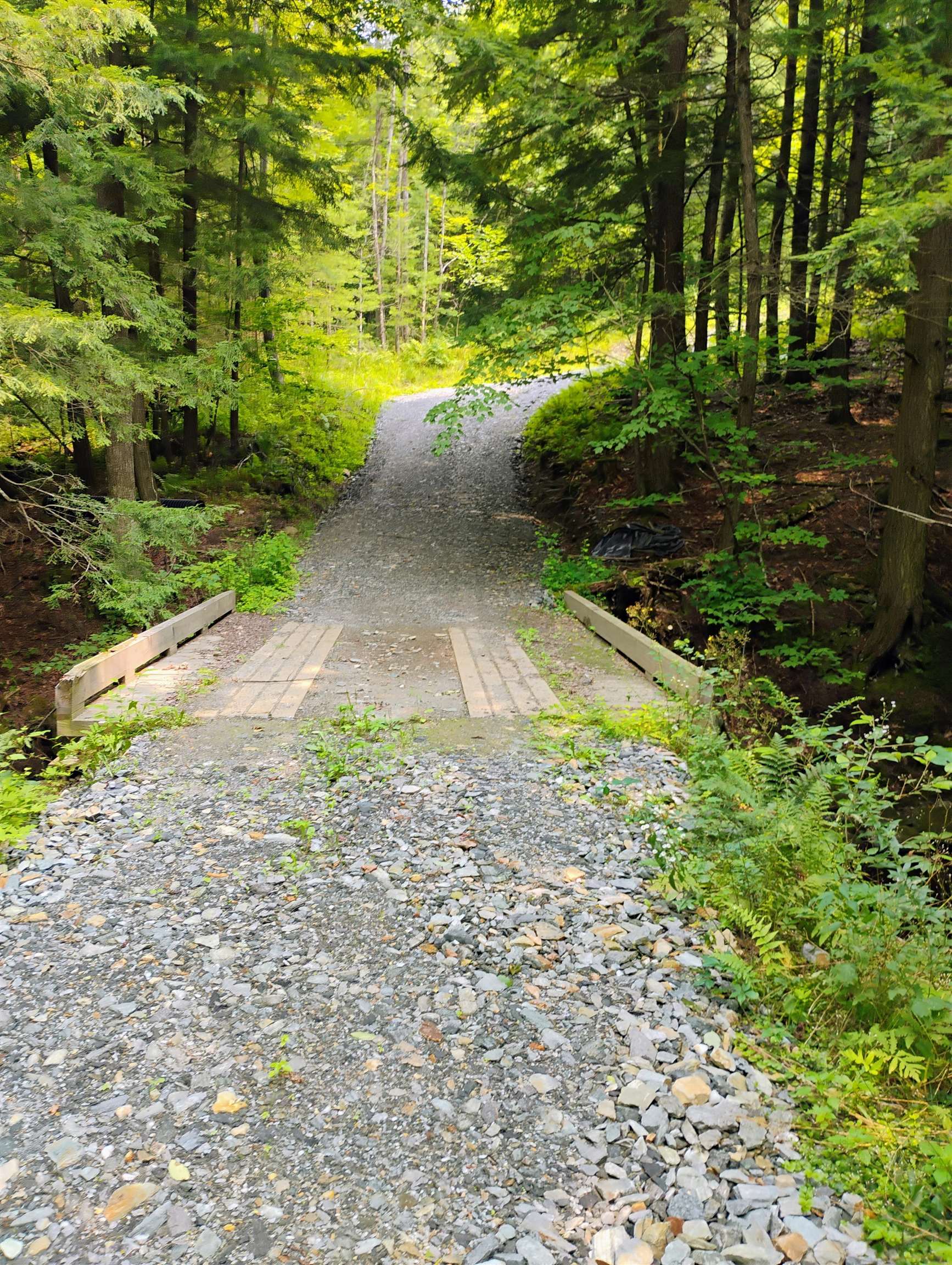 image of Cornish NH Land | 17 Acres