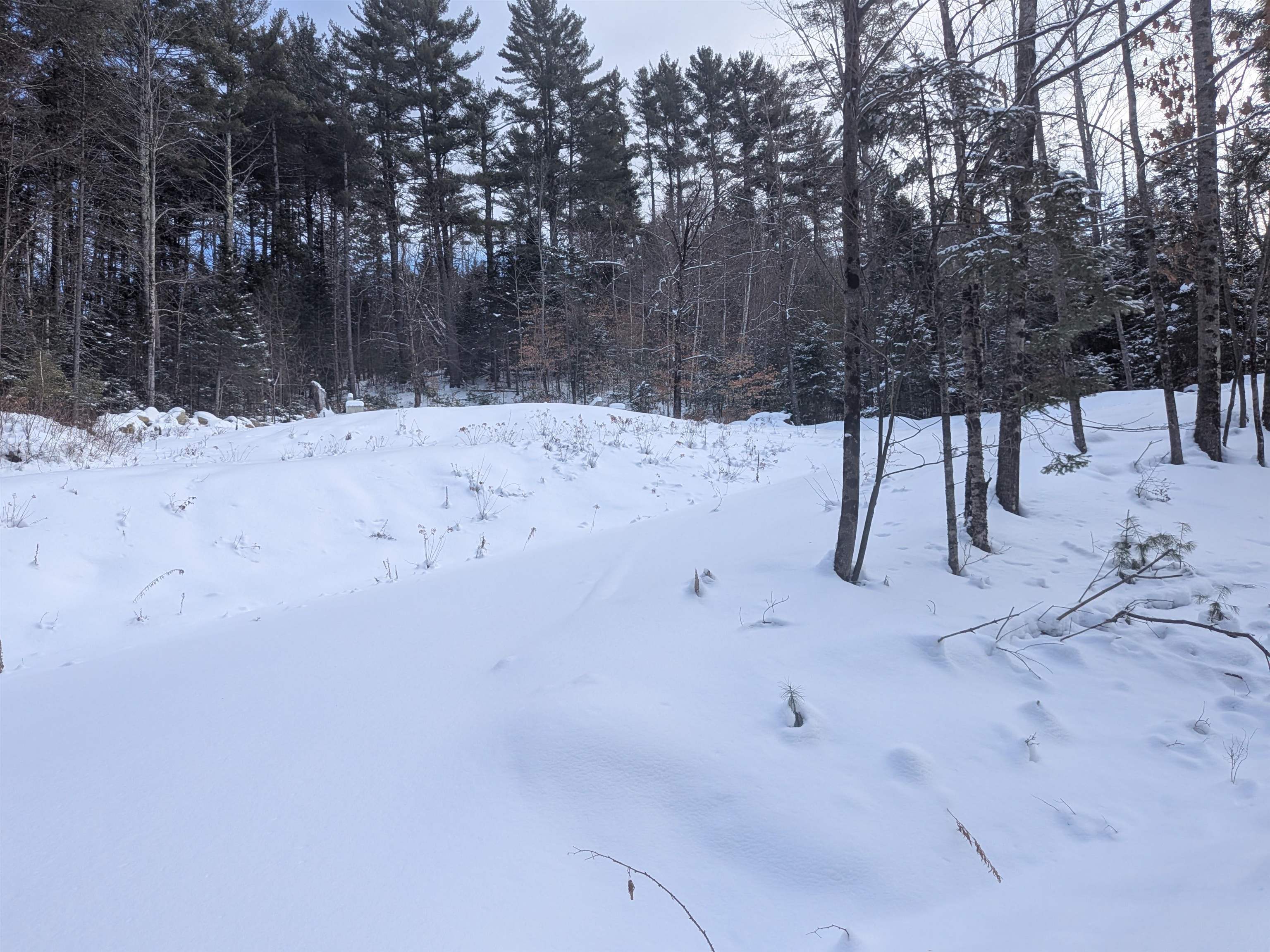 111 Swiftwater Cir, Haverhill, NH 03765-4413