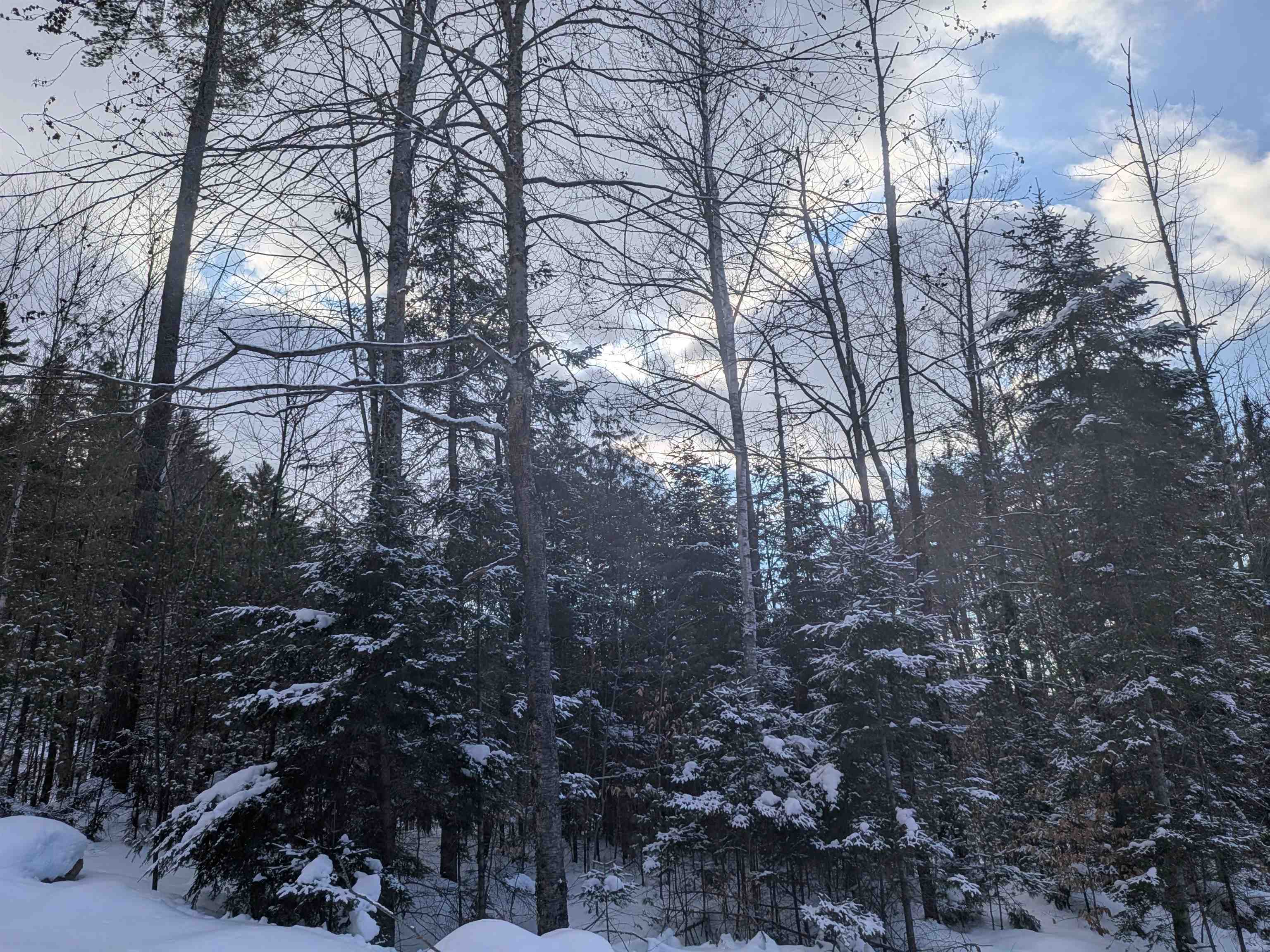 111 Swiftwater Cir, Haverhill, NH 03765-4413