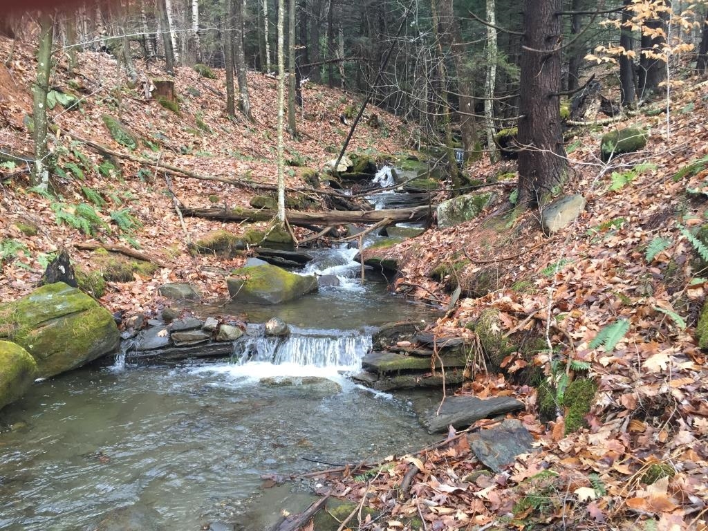   Click for more details  