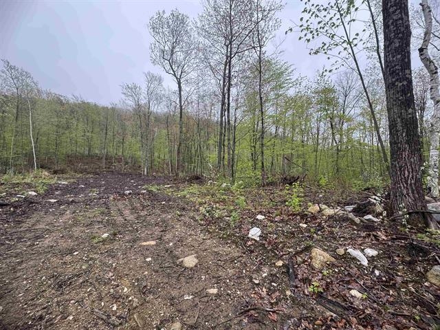 000 Upper Plains Road