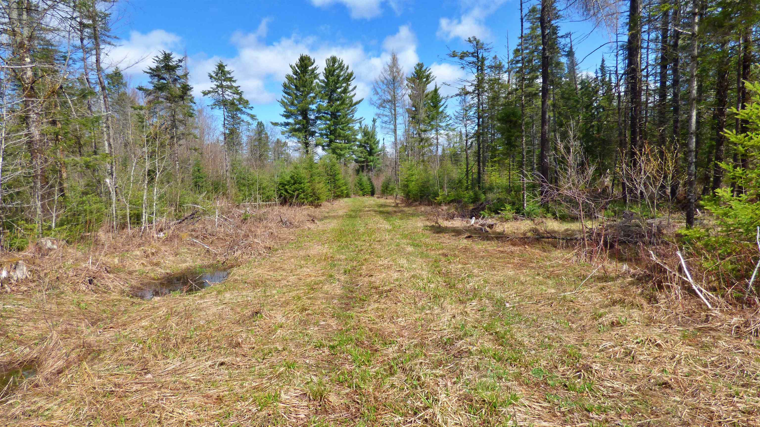 Wheelock VT&nbsp;Land for sale $$1,499,000 | 849.55 Acres  | Price Per Acre $0 
