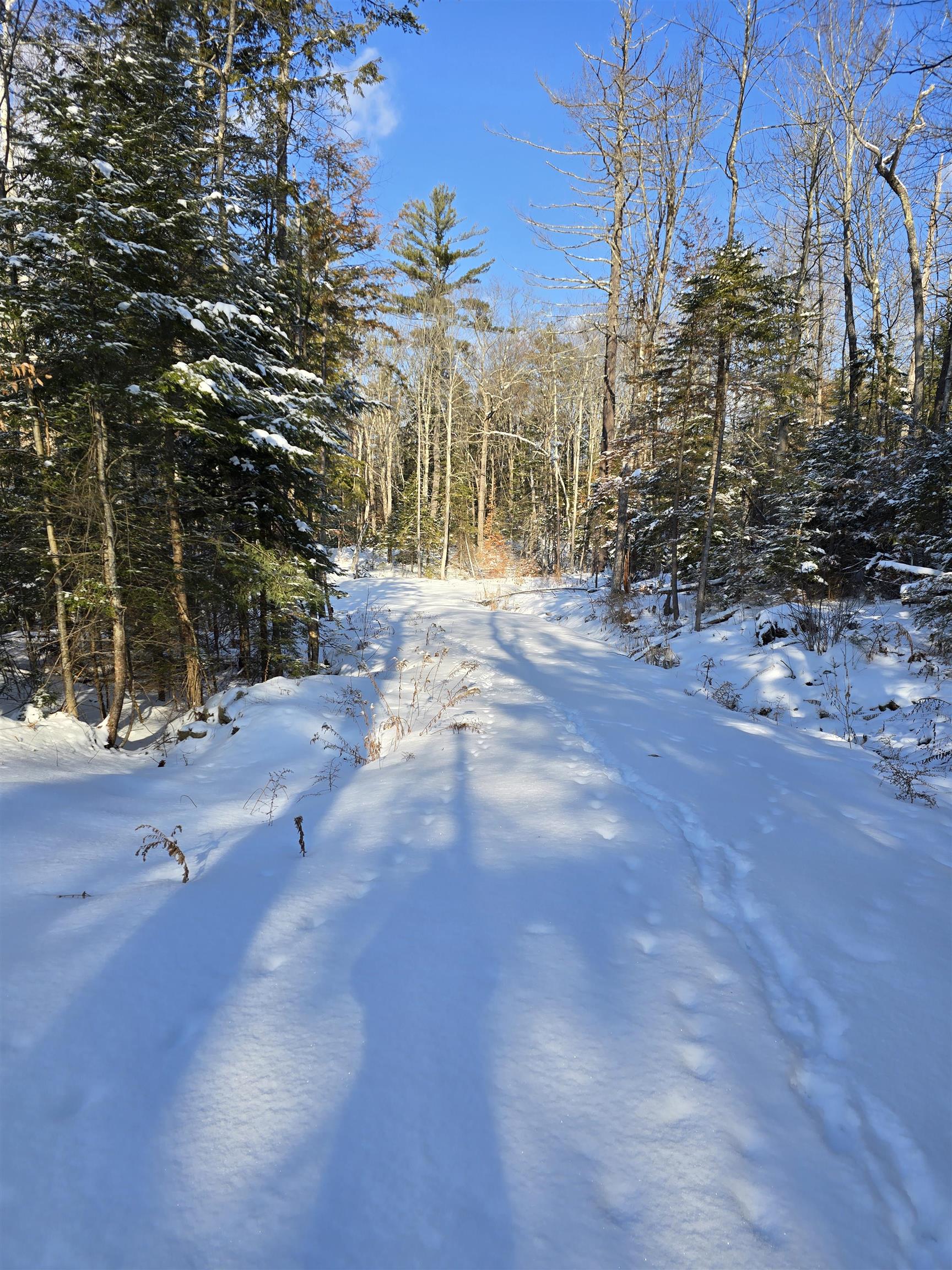 TBD Stocker Pond Rd, Grantham, NH 03753