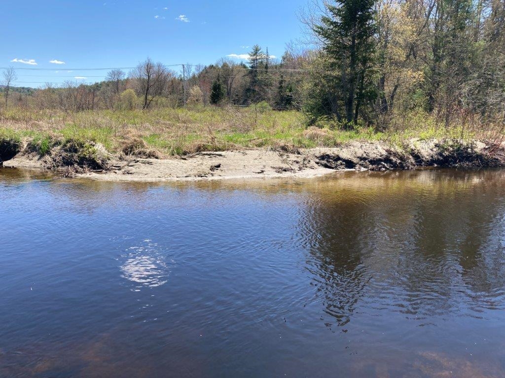 Go Swimming! 24616898