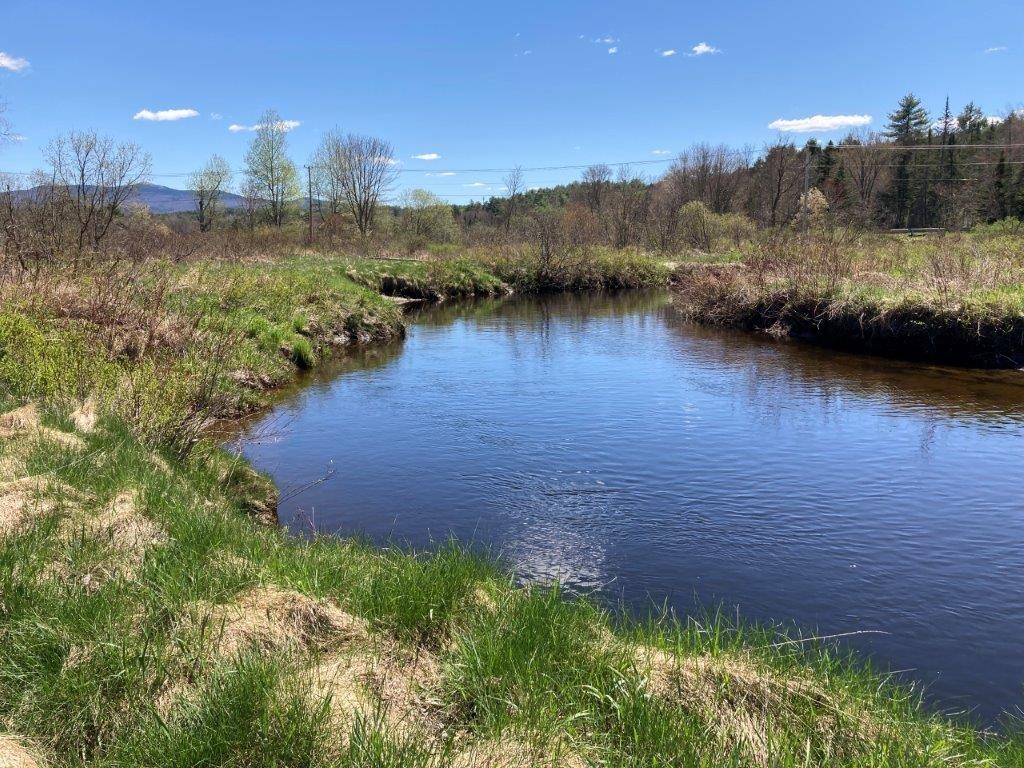 Peaceful Fishing Spot 24616896