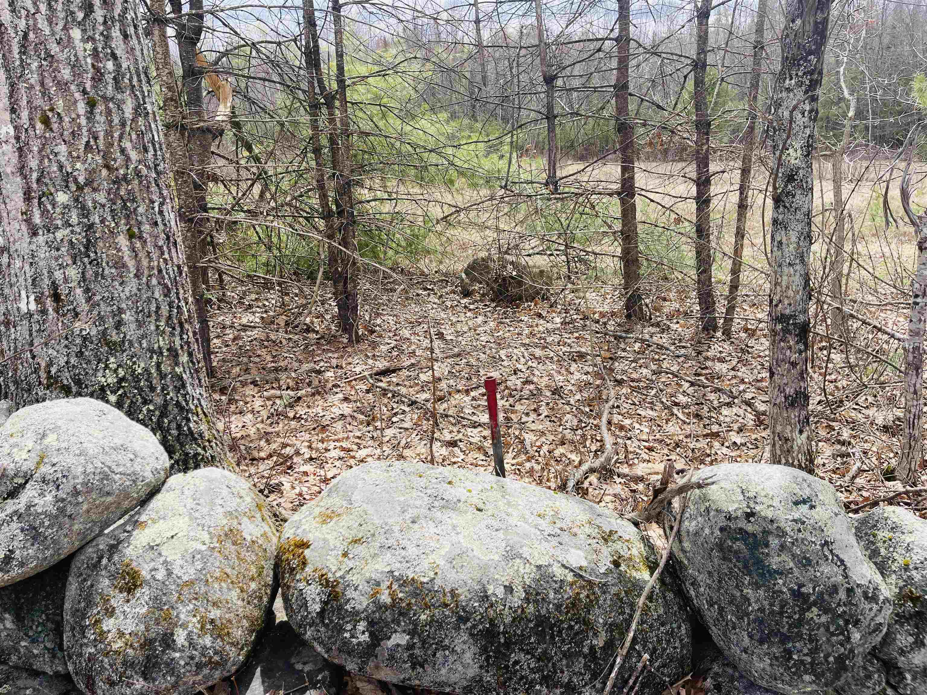 0 County Rd, Tuftonboro, NH 03816