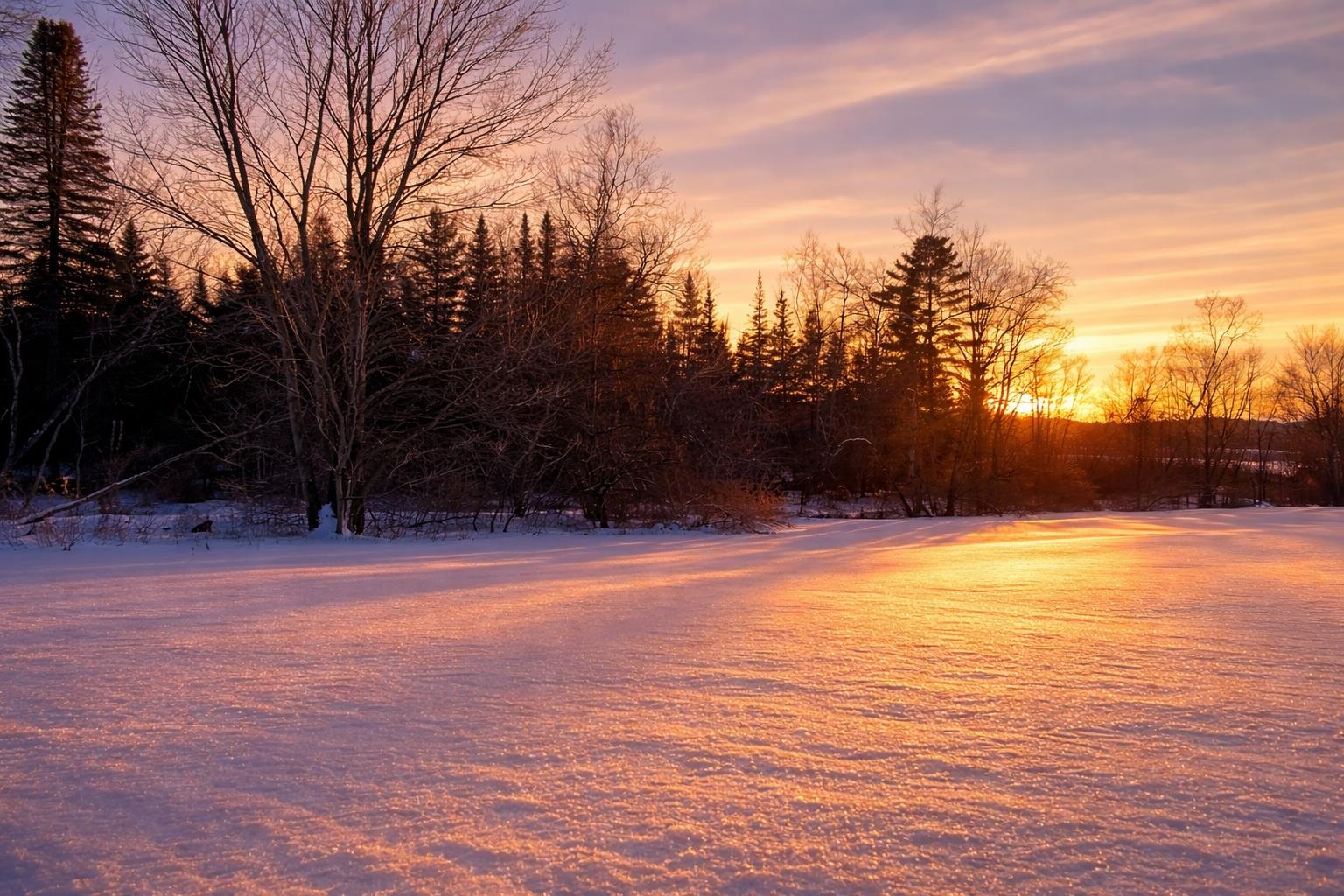 972 Fitzgerald Road Unit: 1