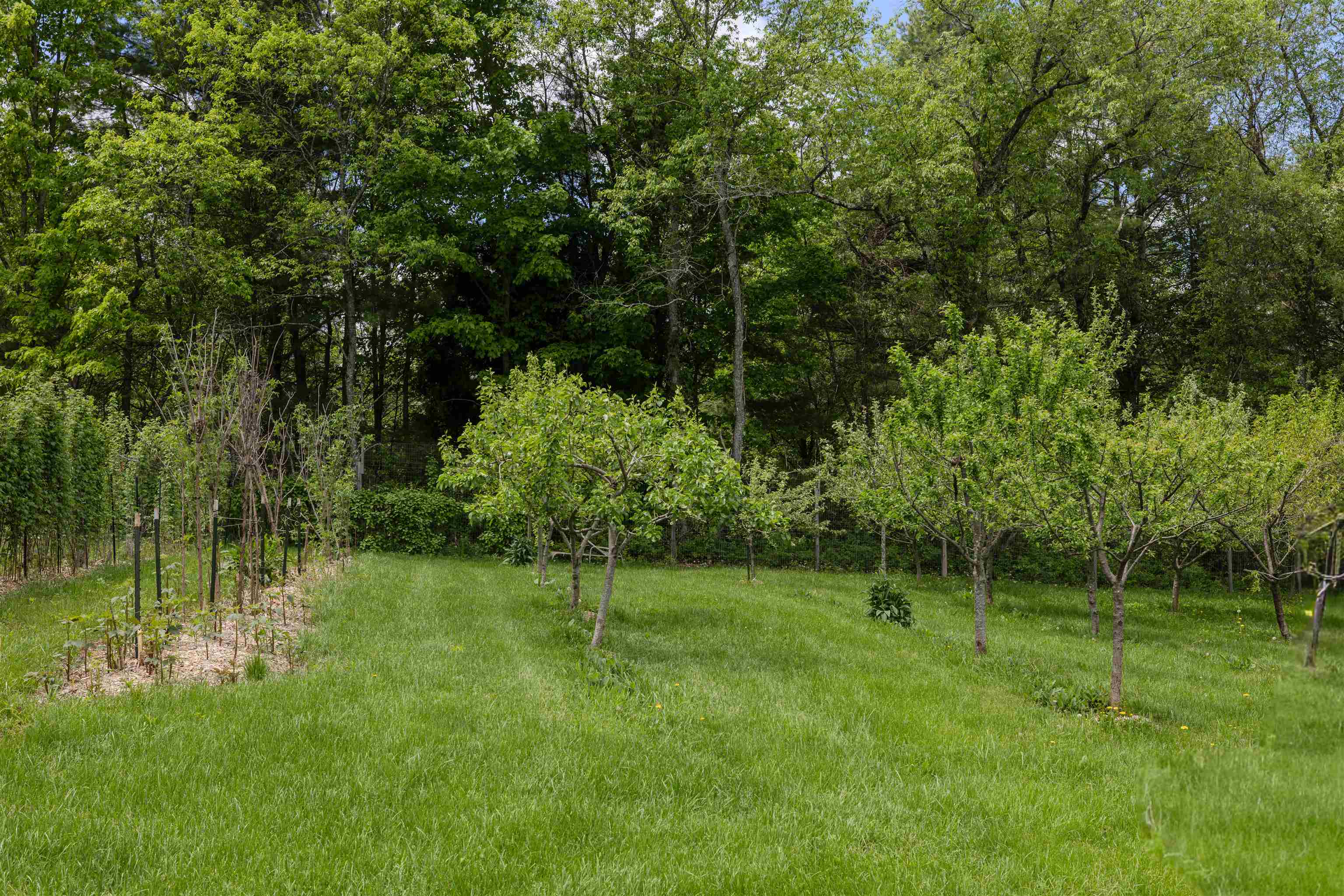 Homes for sale in Sanbornton, NH | 1168 New Hampton Rd, Sanbornton, NH 03269 | MLS# 5076161