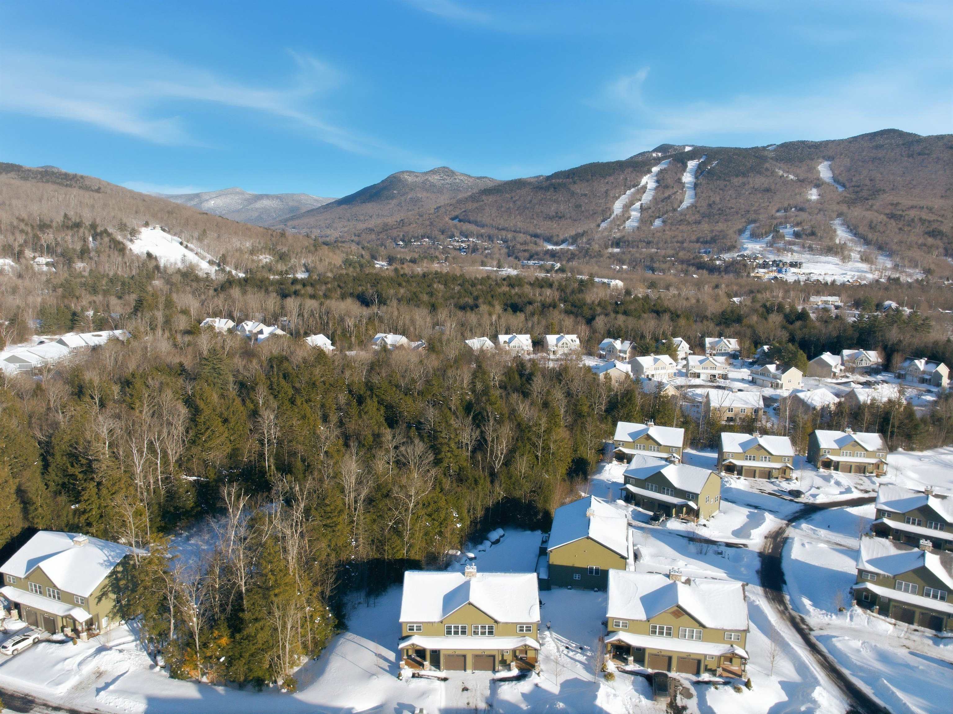 8 Forest Pine Spur, Lincoln, NH 03251