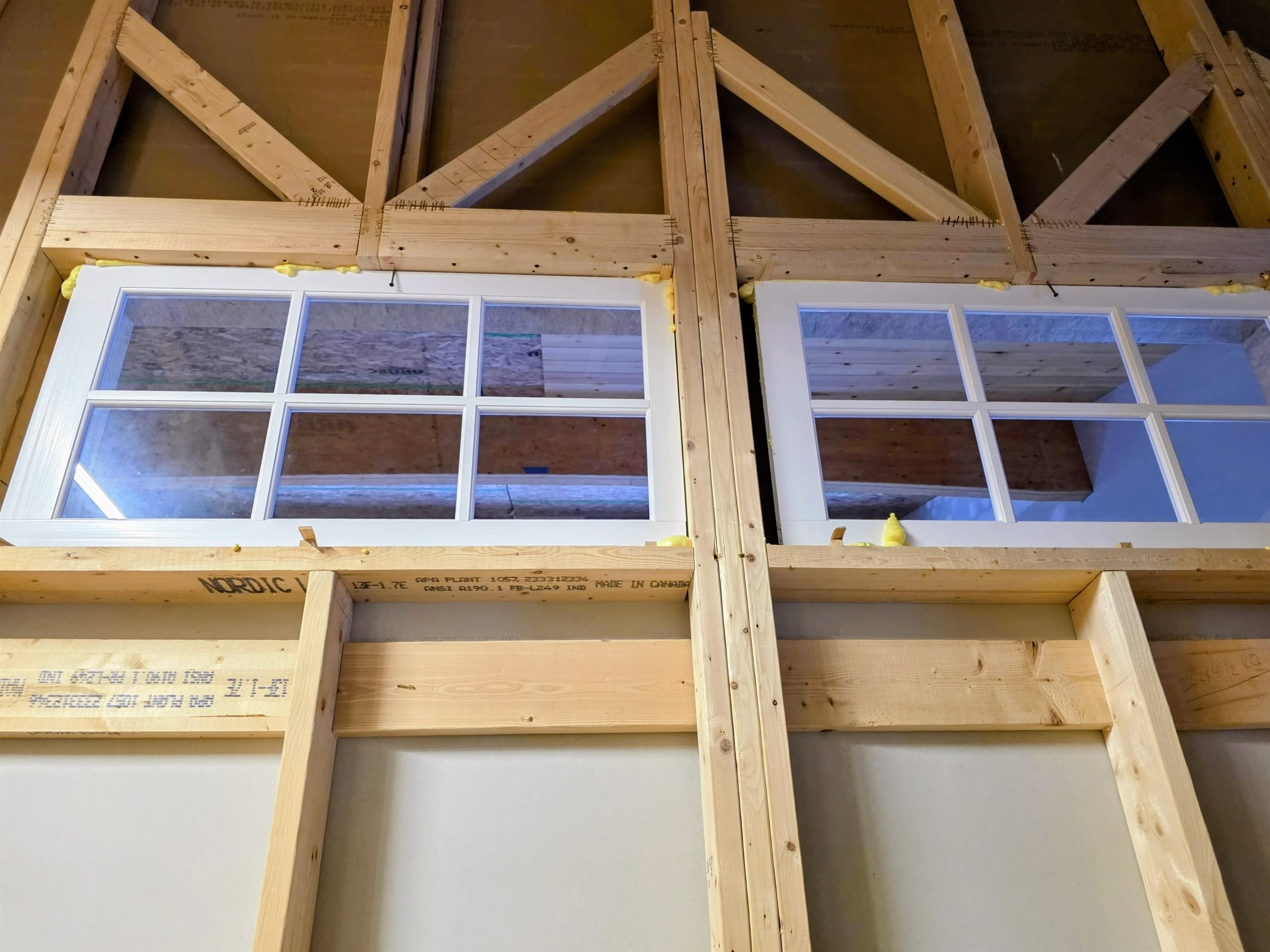 Awesome light. 24660610