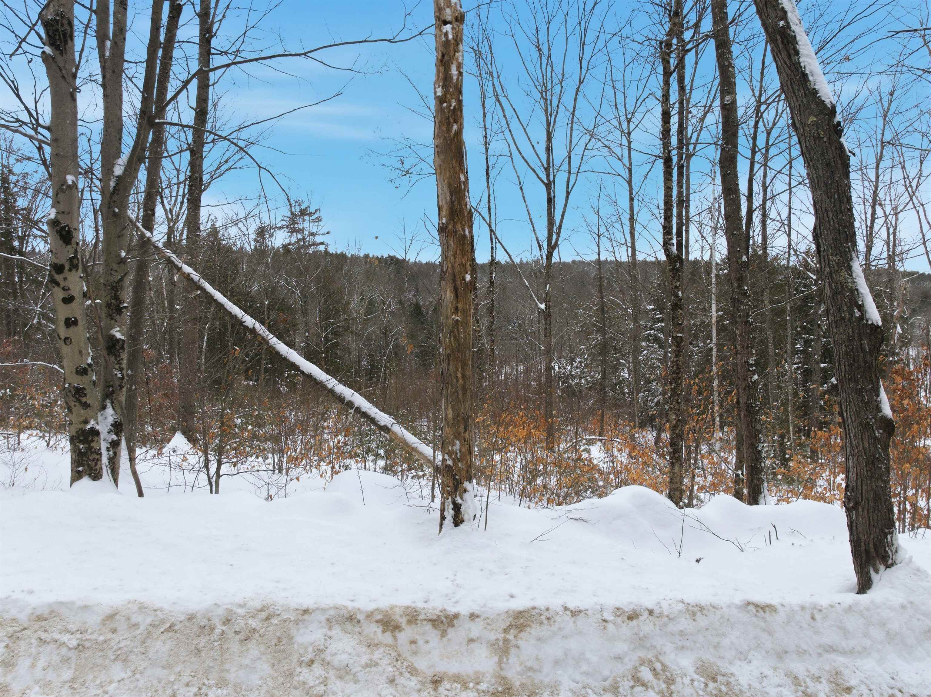 00 Birch Hill Rd, Sutton, NH 03221