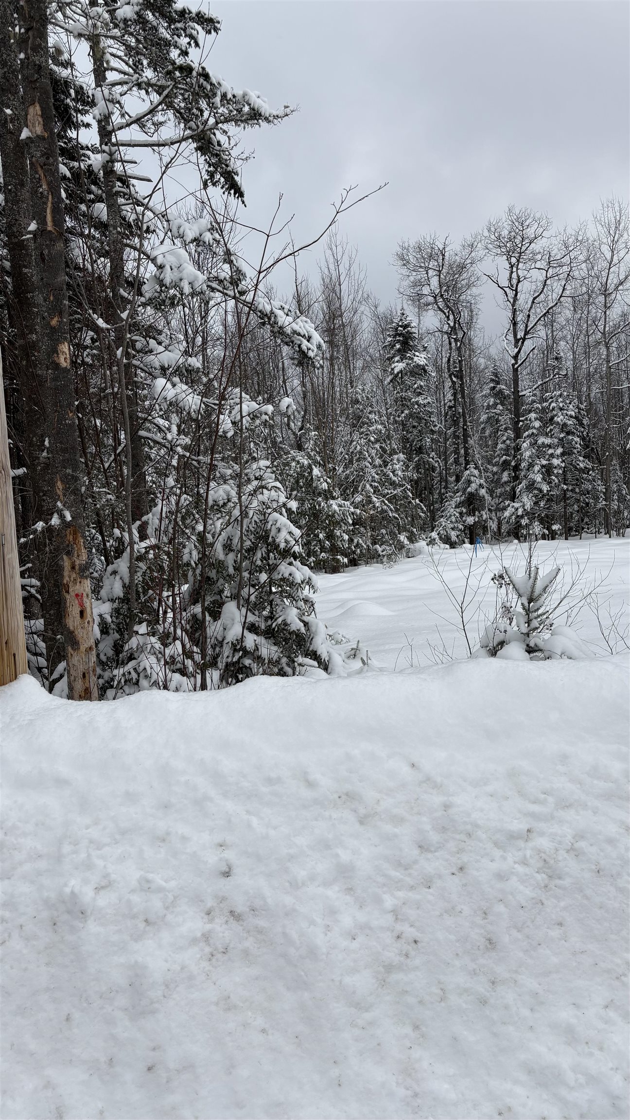 7 James St, Bethlehem, NH 03574