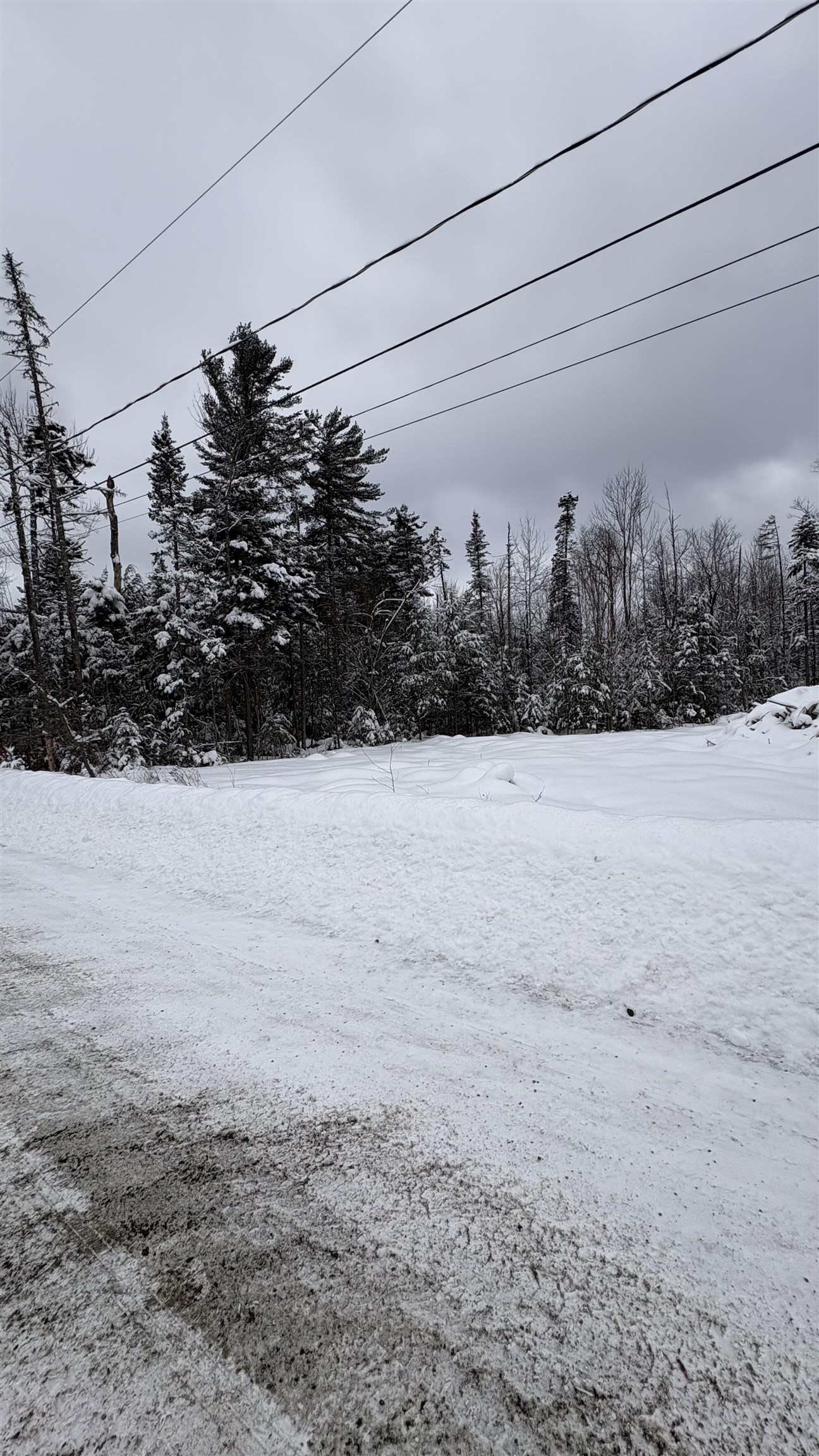 7 James St, Bethlehem, NH 03574